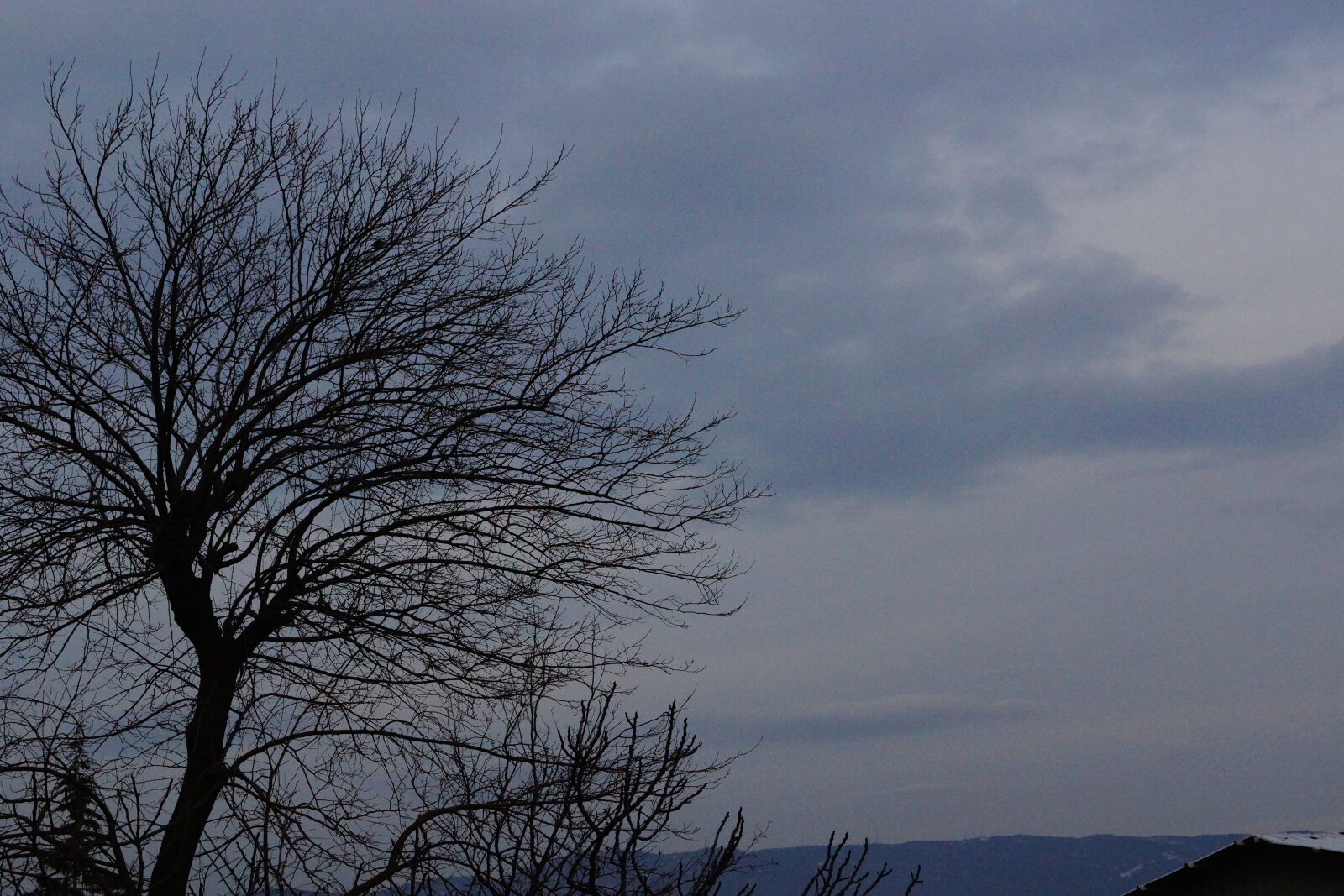 Sony SLT-A65 (SLT-A65V) sample photo
