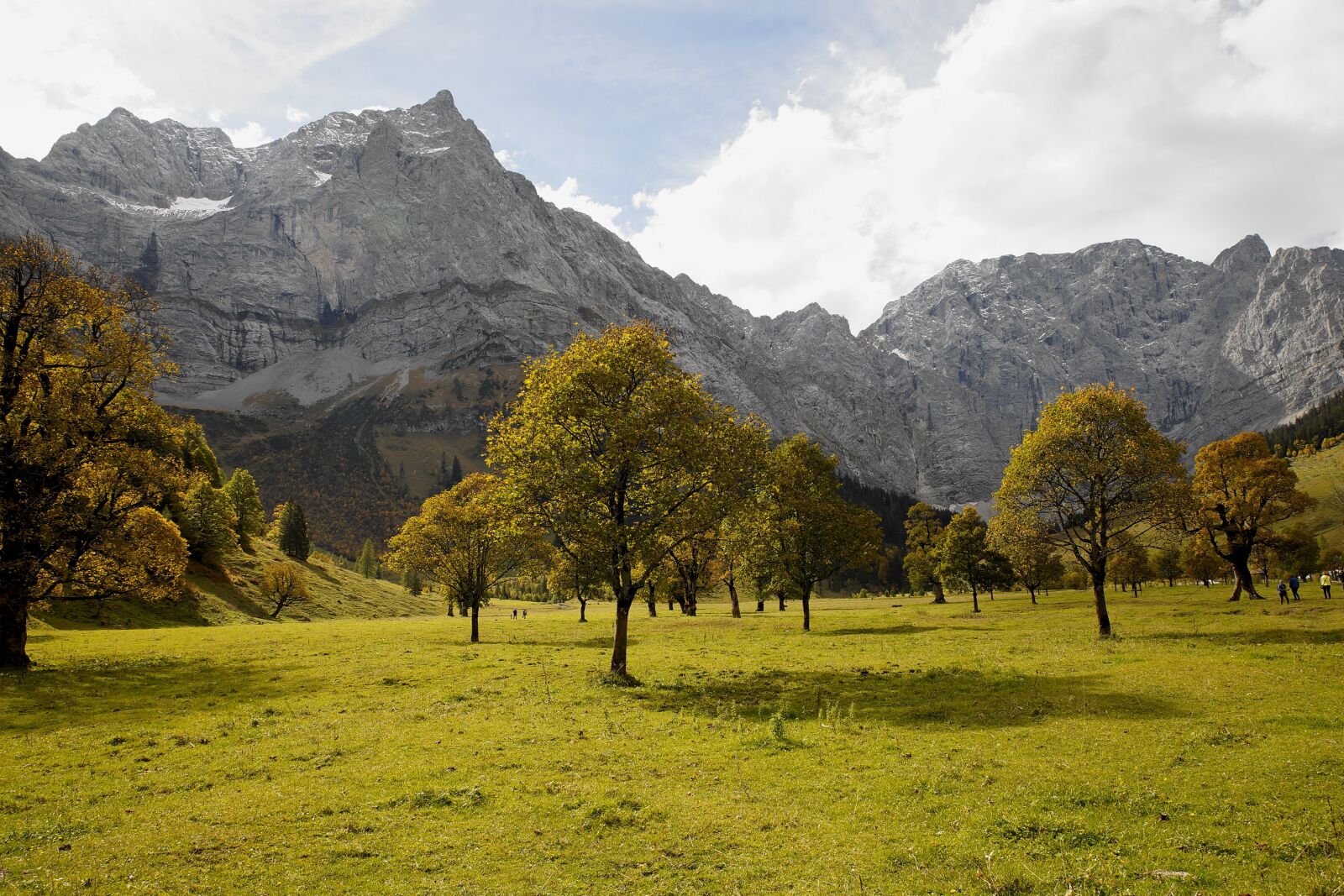Sony a99 II sample photo. Tyrol, ahornboden, trees photography