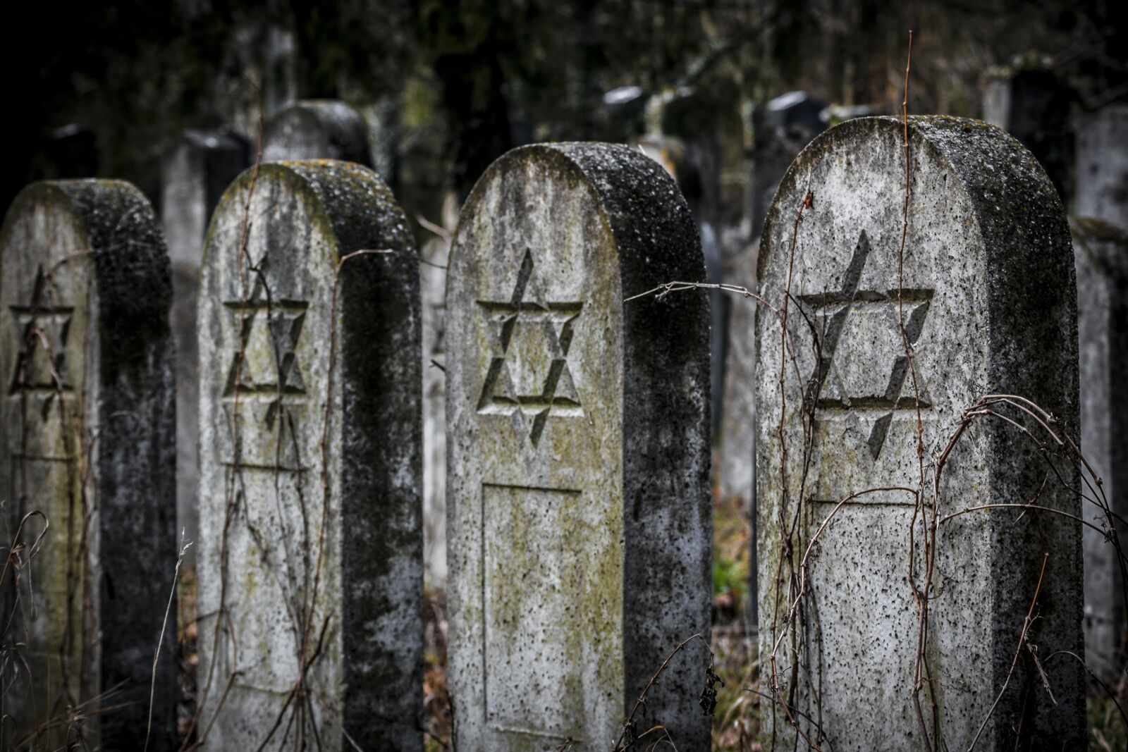 Canon EOS 70D sample photo. Tombstone, old, old cemetery photography