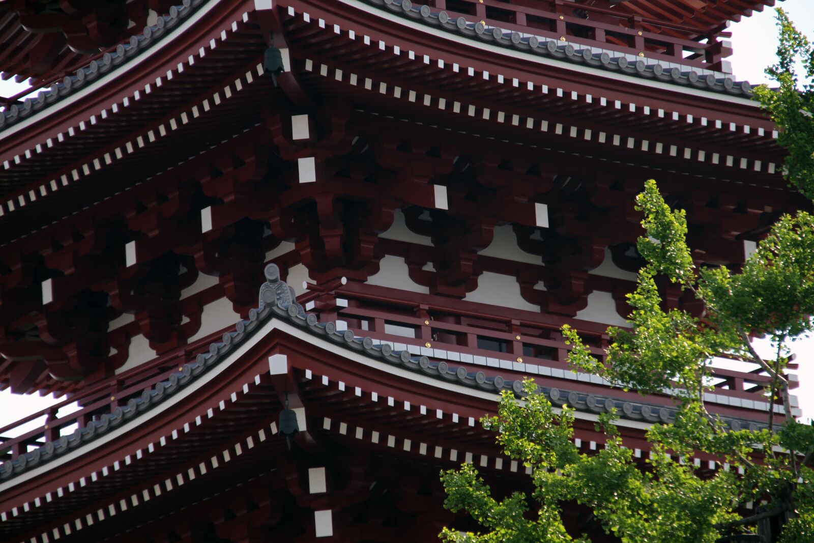 Canon EOS 7D sample photo. Pagoda, roof, temple photography