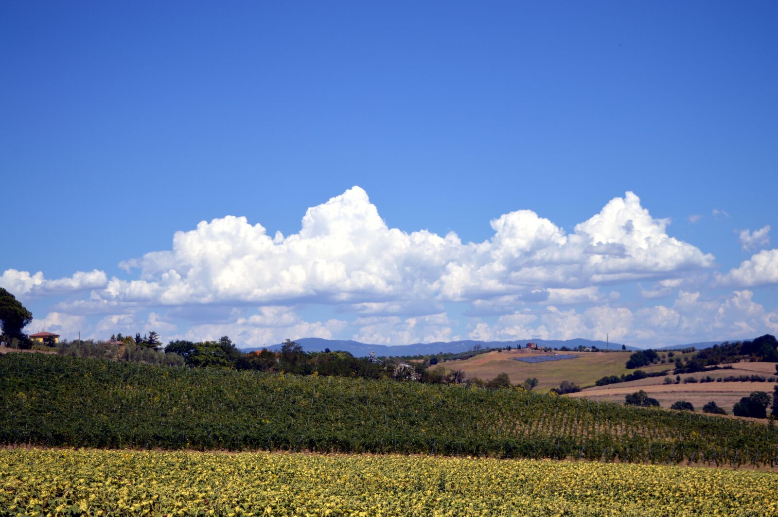 Nikon D3200 sample photo. Landscape, tuscany, italy photography