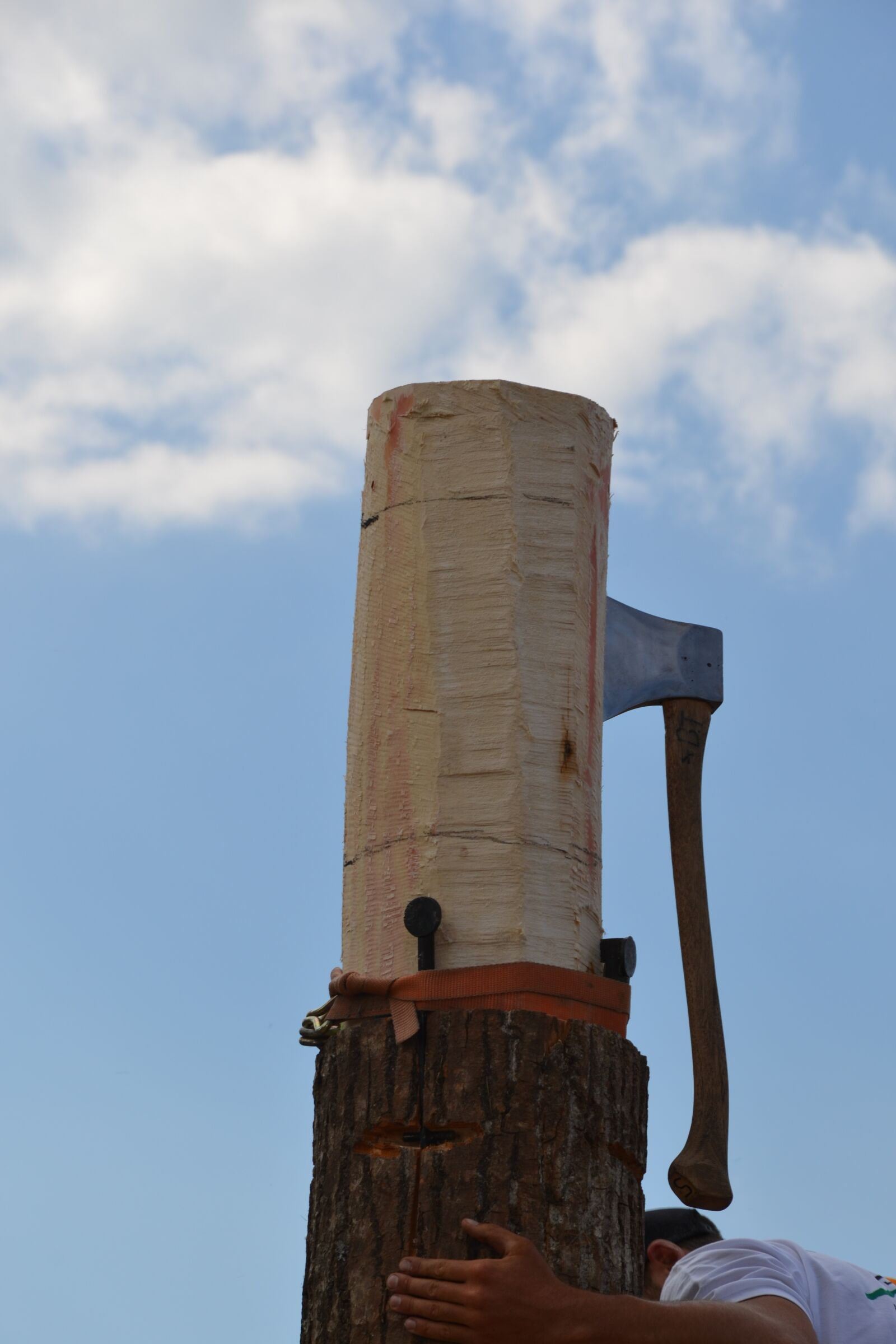 Nikon D3100 sample photo. Axe, wood, wood craft photography
