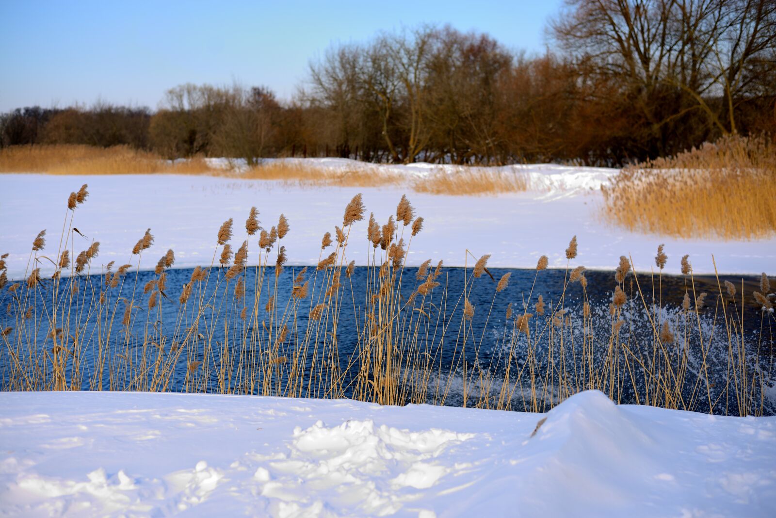 Nikon D800 sample photo. Water, snow, grass photography