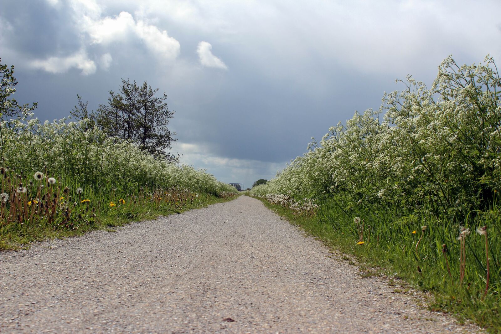 Canon EOS 600D (Rebel EOS T3i / EOS Kiss X5) sample photo. Fryslan, friesland, road photography