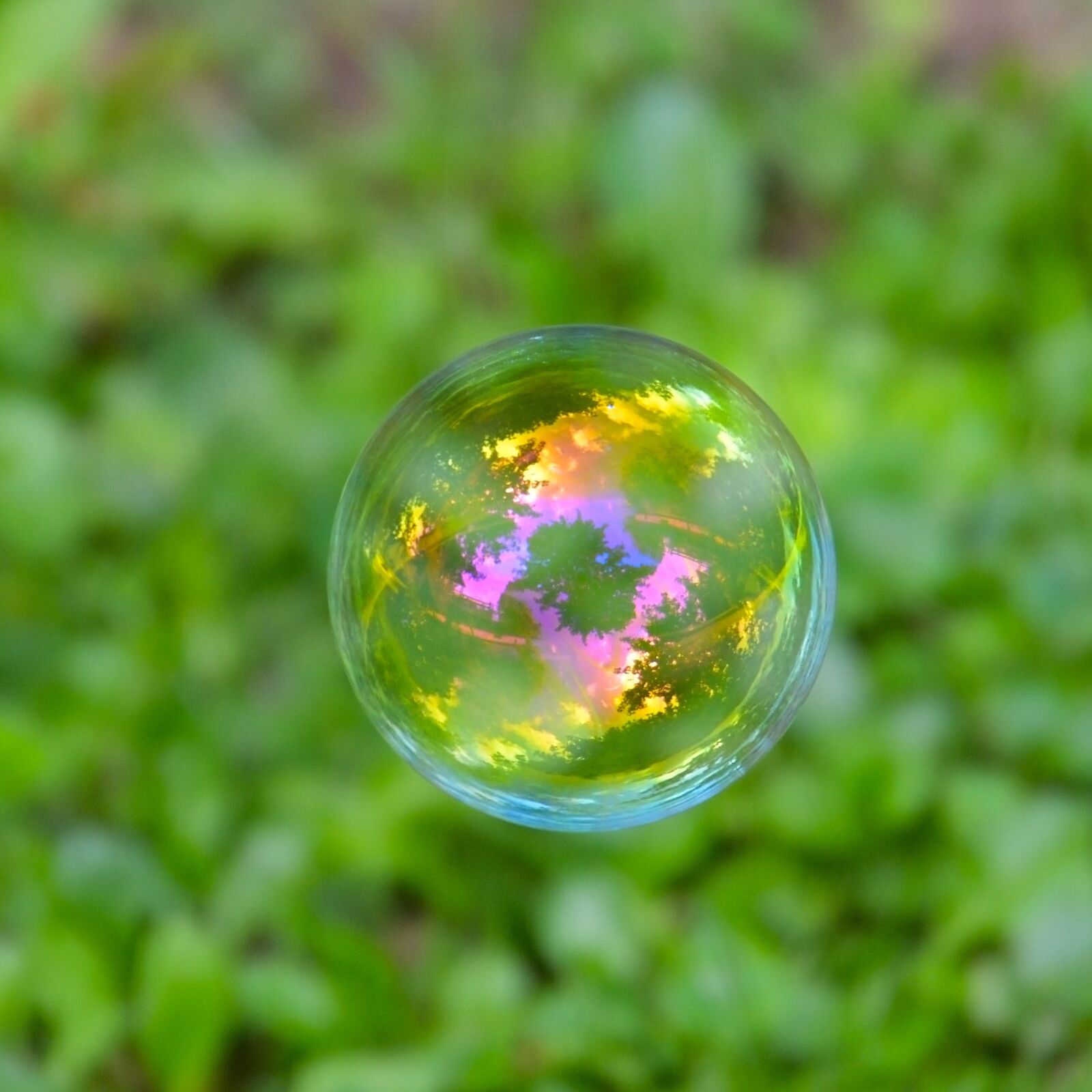 Nikon D3100 sample photo. Environment, spherical, nature photography