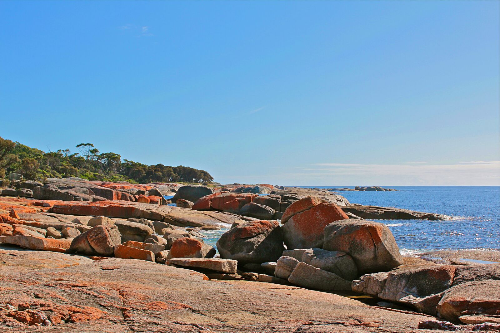 Canon EOS 600D (Rebel EOS T3i / EOS Kiss X5) sample photo. Australia, tasmania, nature photography