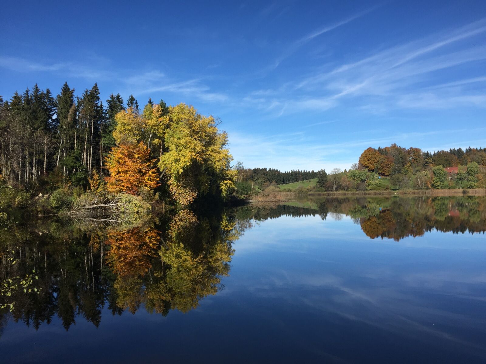 Apple iPhone 6 sample photo. Landscape, lake, autumn photography