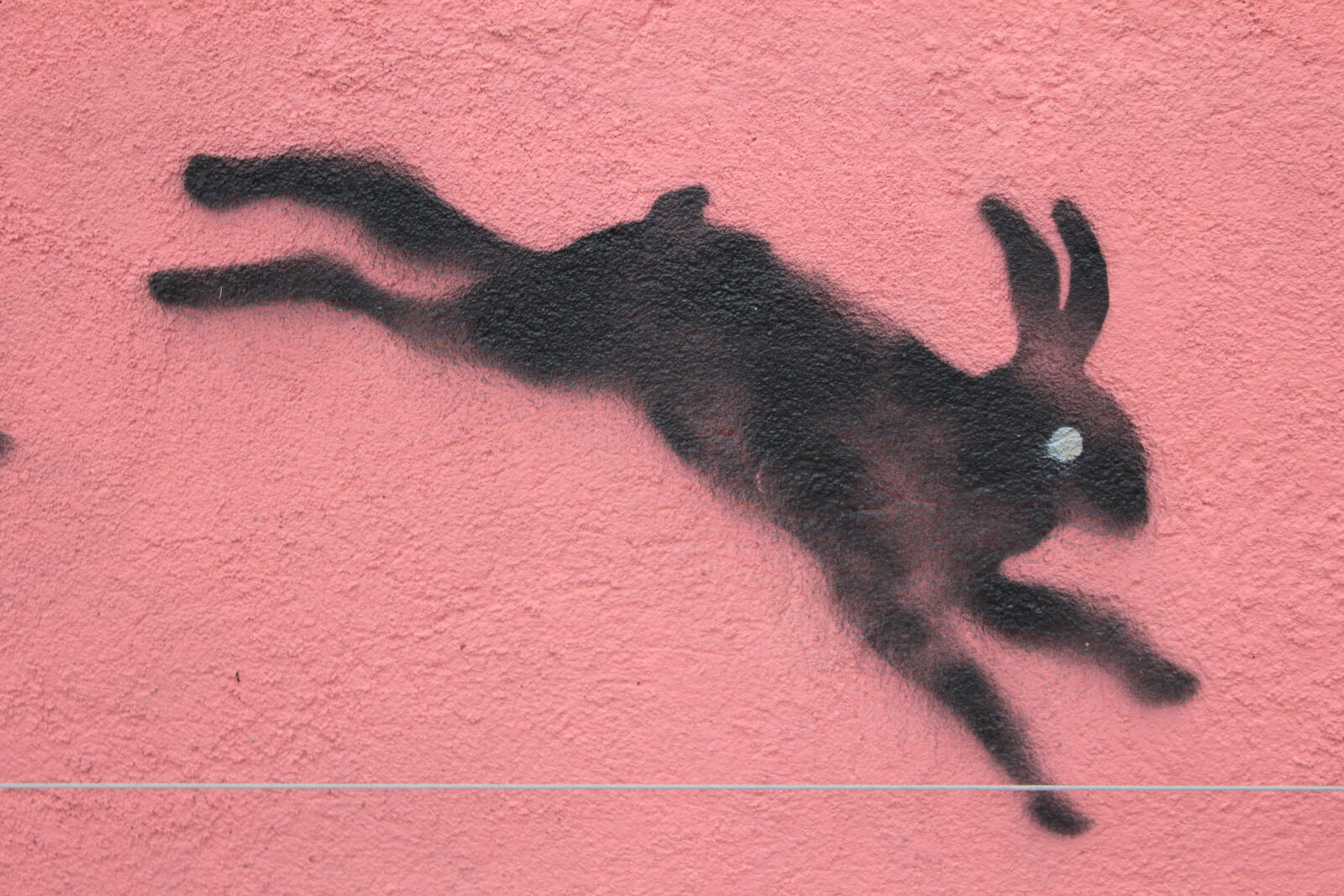 Canon EOS 550D (EOS Rebel T2i / EOS Kiss X4) sample photo. Rabbit, street, art photography