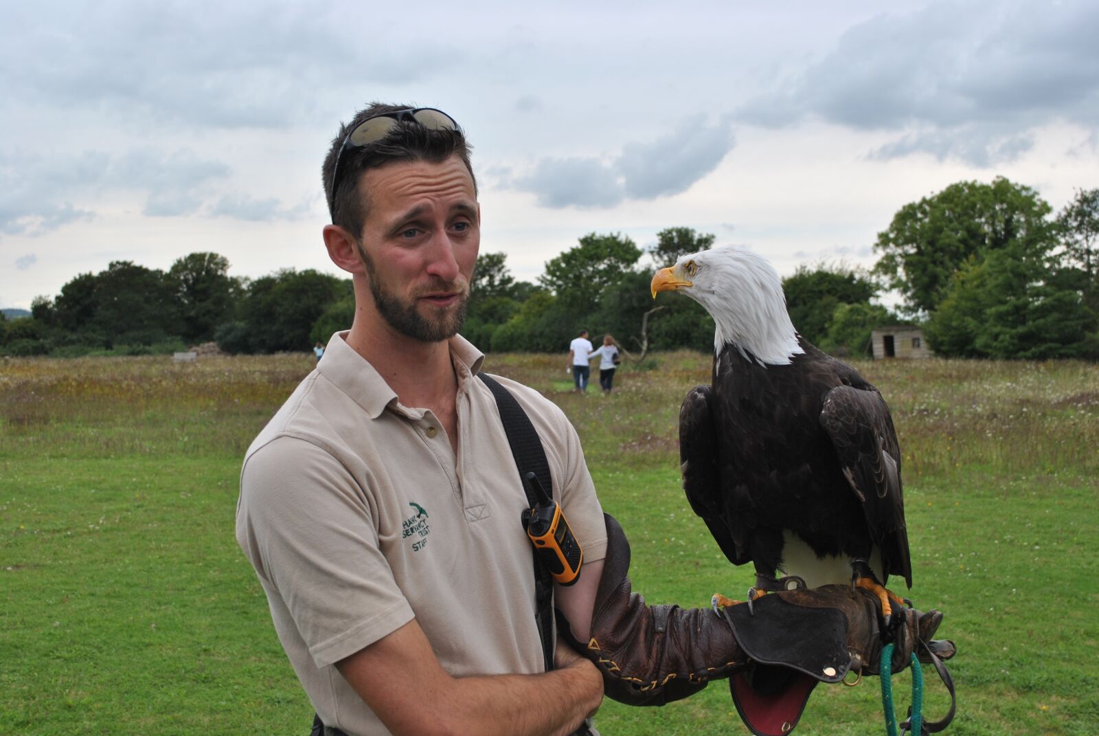 Nikon D3000 sample photo. Eagle, falconer, bird photography
