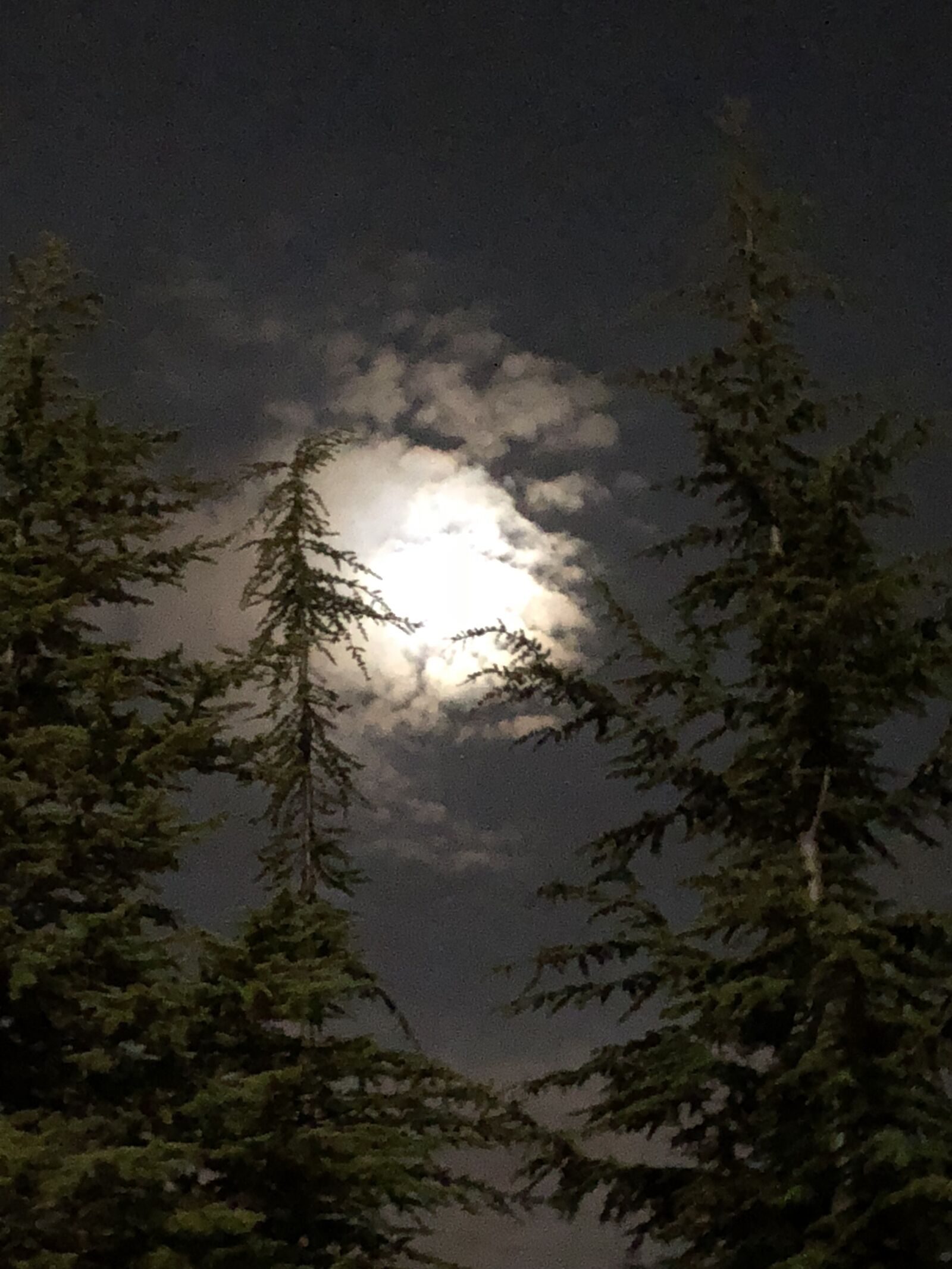 Apple iPhone 8 sample photo. Night landscape, nature, night photography