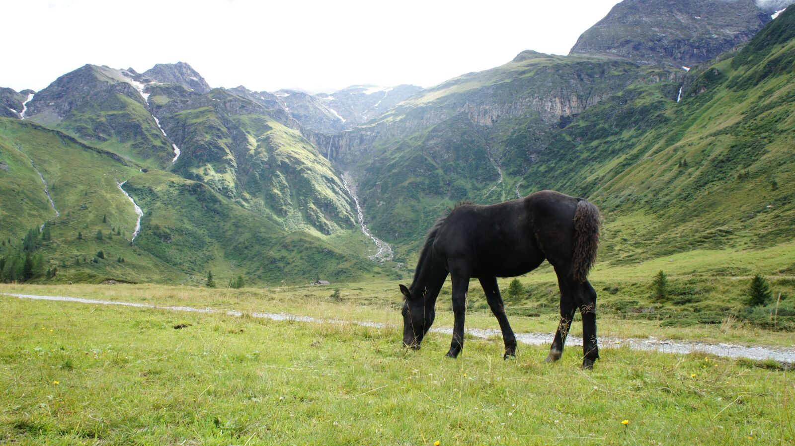 Sony Alpha NEX-5 + Sony E 18-55mm F3.5-5.6 OSS sample photo. Horse, mountains, alps photography
