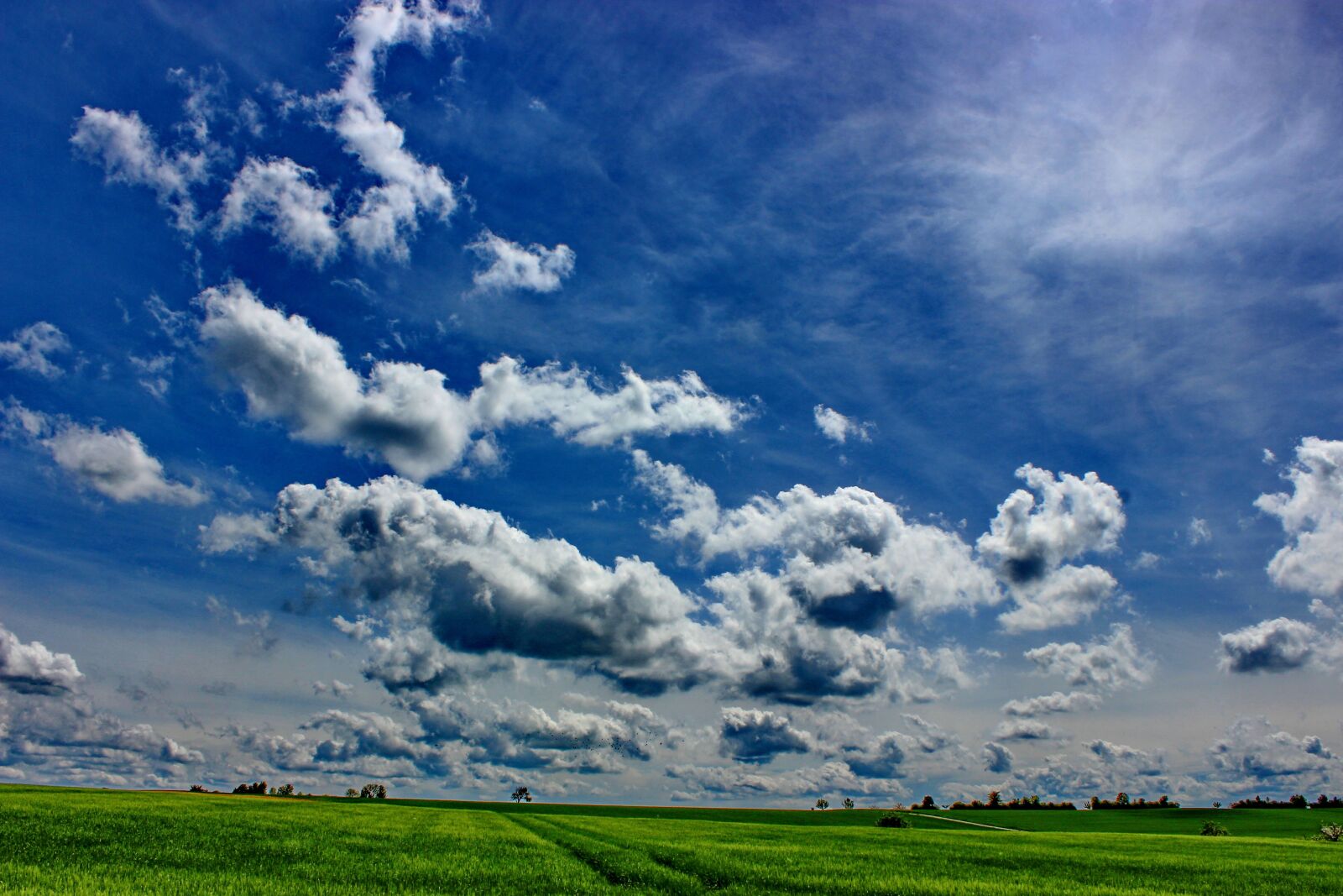 Canon EOS 600D (Rebel EOS T3i / EOS Kiss X5) sample photo. Clouds, landscape, nice weather photography