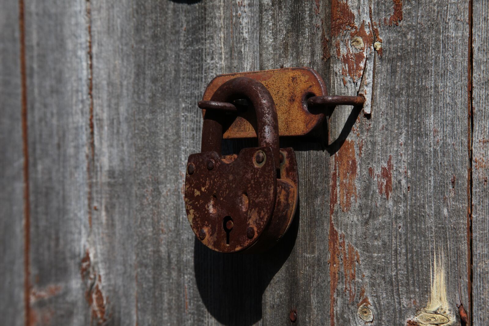 Canon EOS 5D Mark II sample photo. The old castle, iron photography