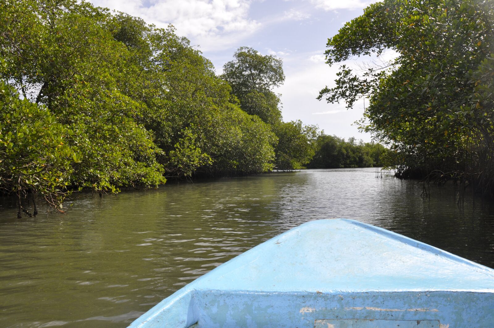 Nikon D90 sample photo. Barca, beach, water mangrove photography