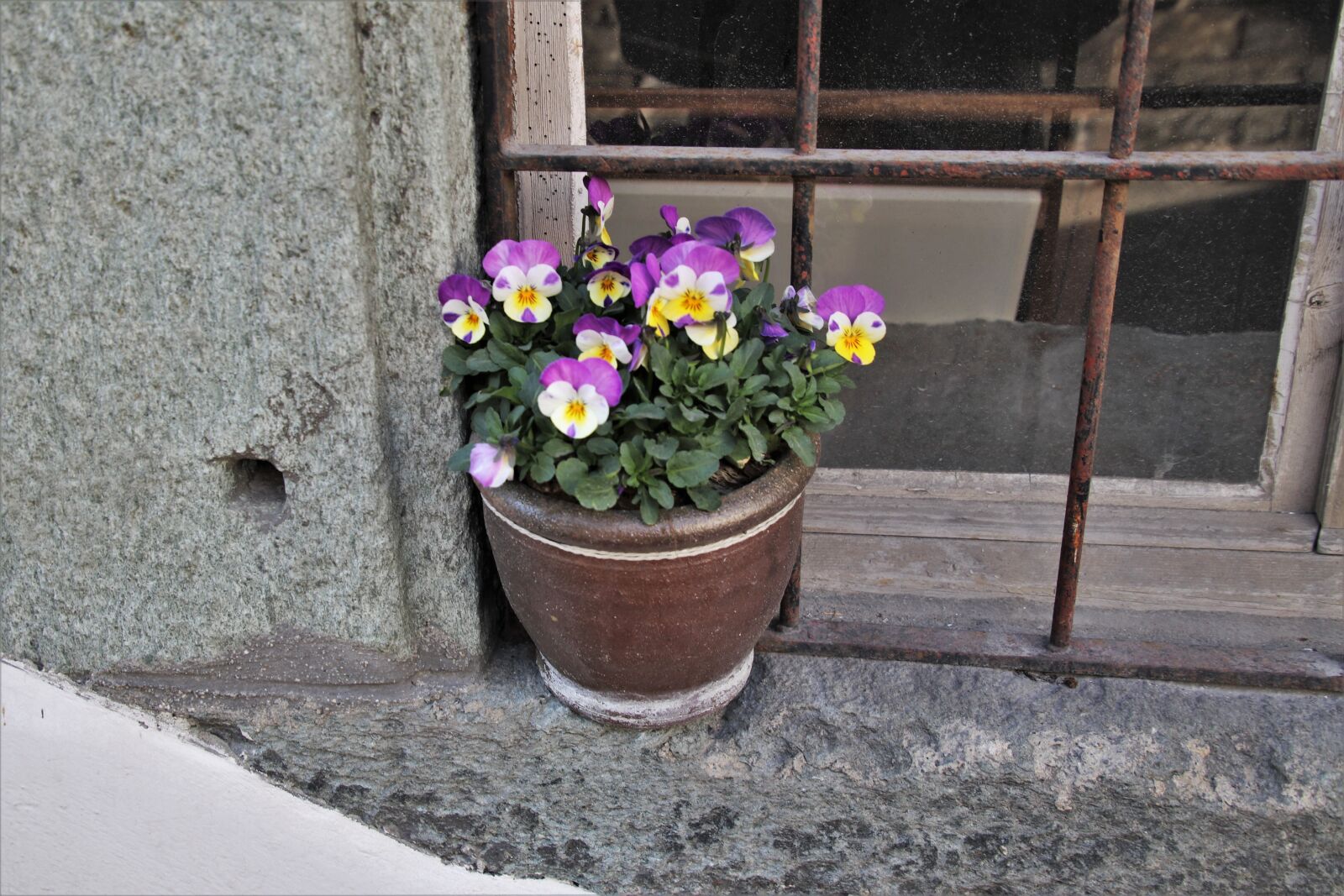 Canon EOS 80D sample photo. Gray, stone, the walls photography