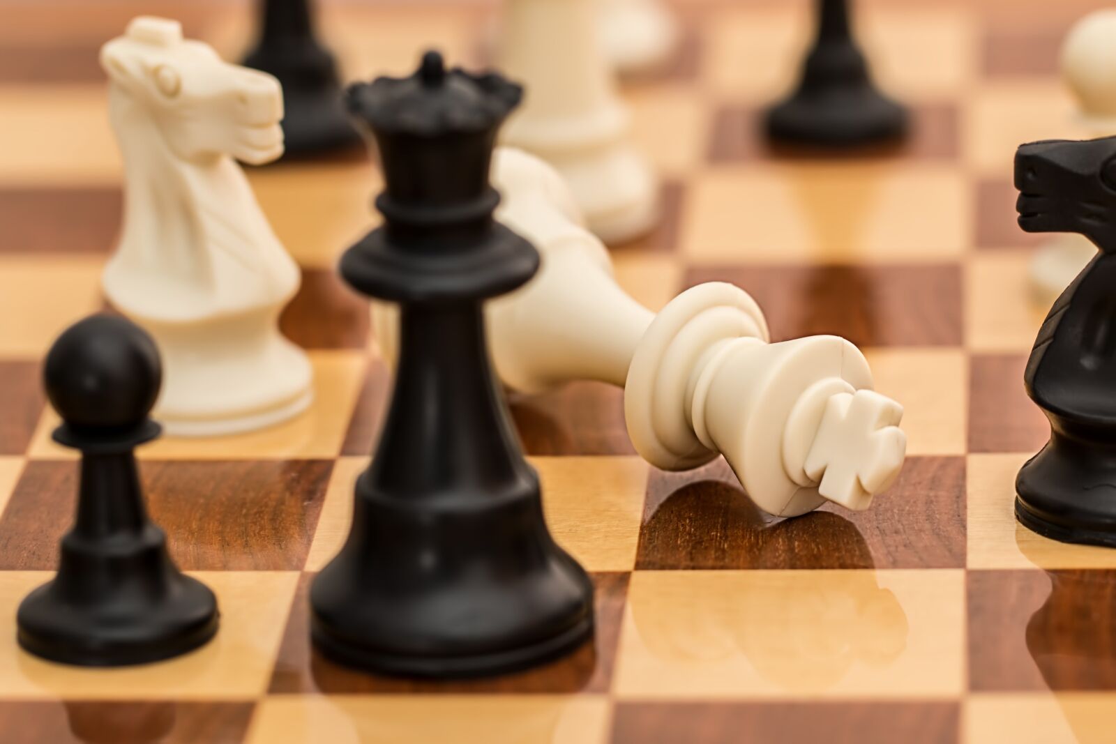 Canon EF 100mm F2.8L Macro IS USM sample photo. Checkmate, chess, resignation photography
