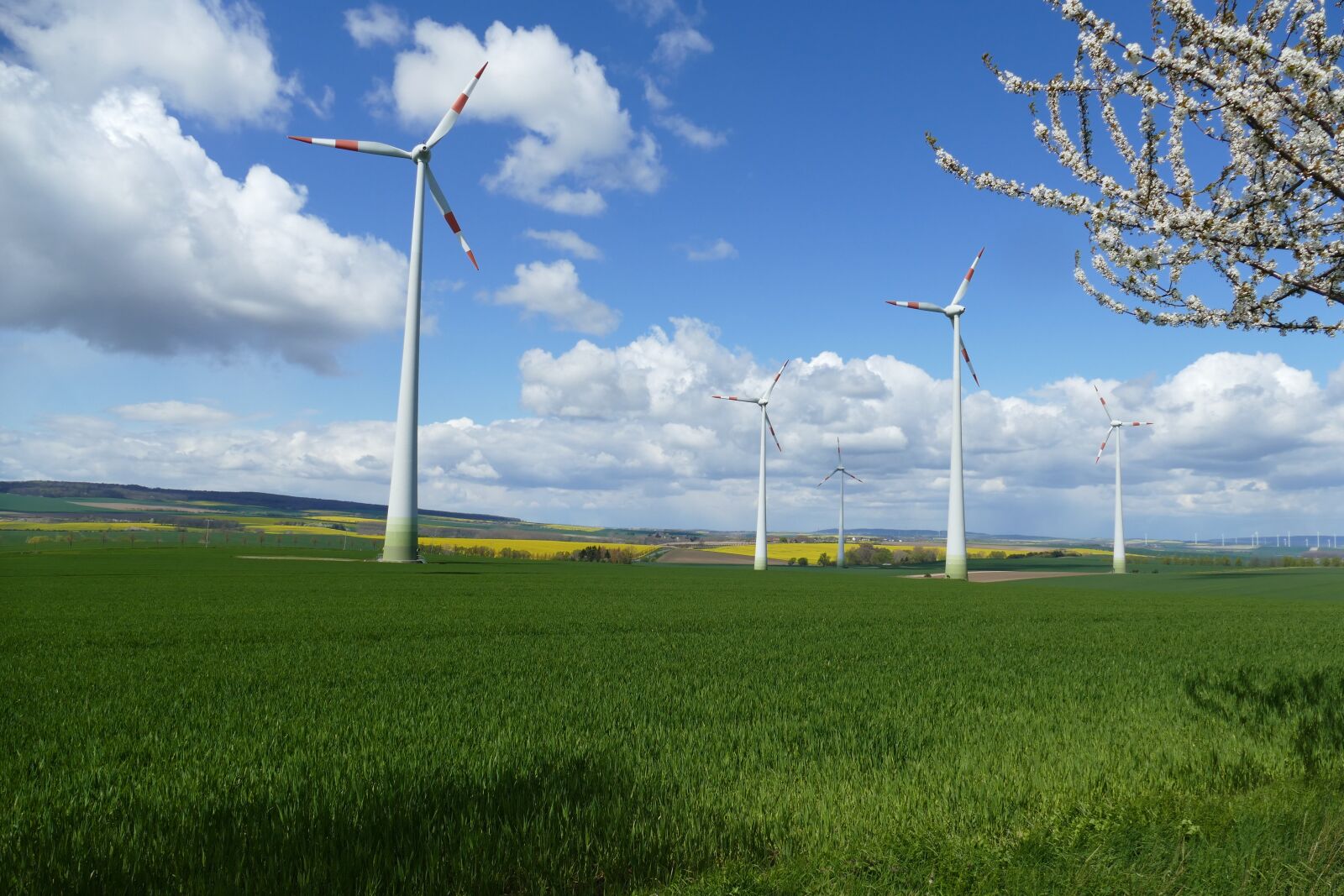 Panasonic Lumix DMC-FZ1000 sample photo. Wind power, landscape, clouds photography