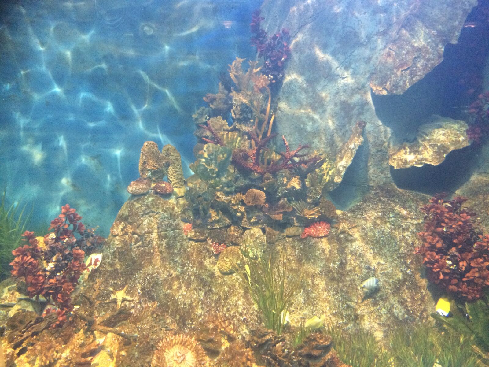 iPhone 5s back camera 4.15mm f/2.2 sample photo. Sea, sun, water photography