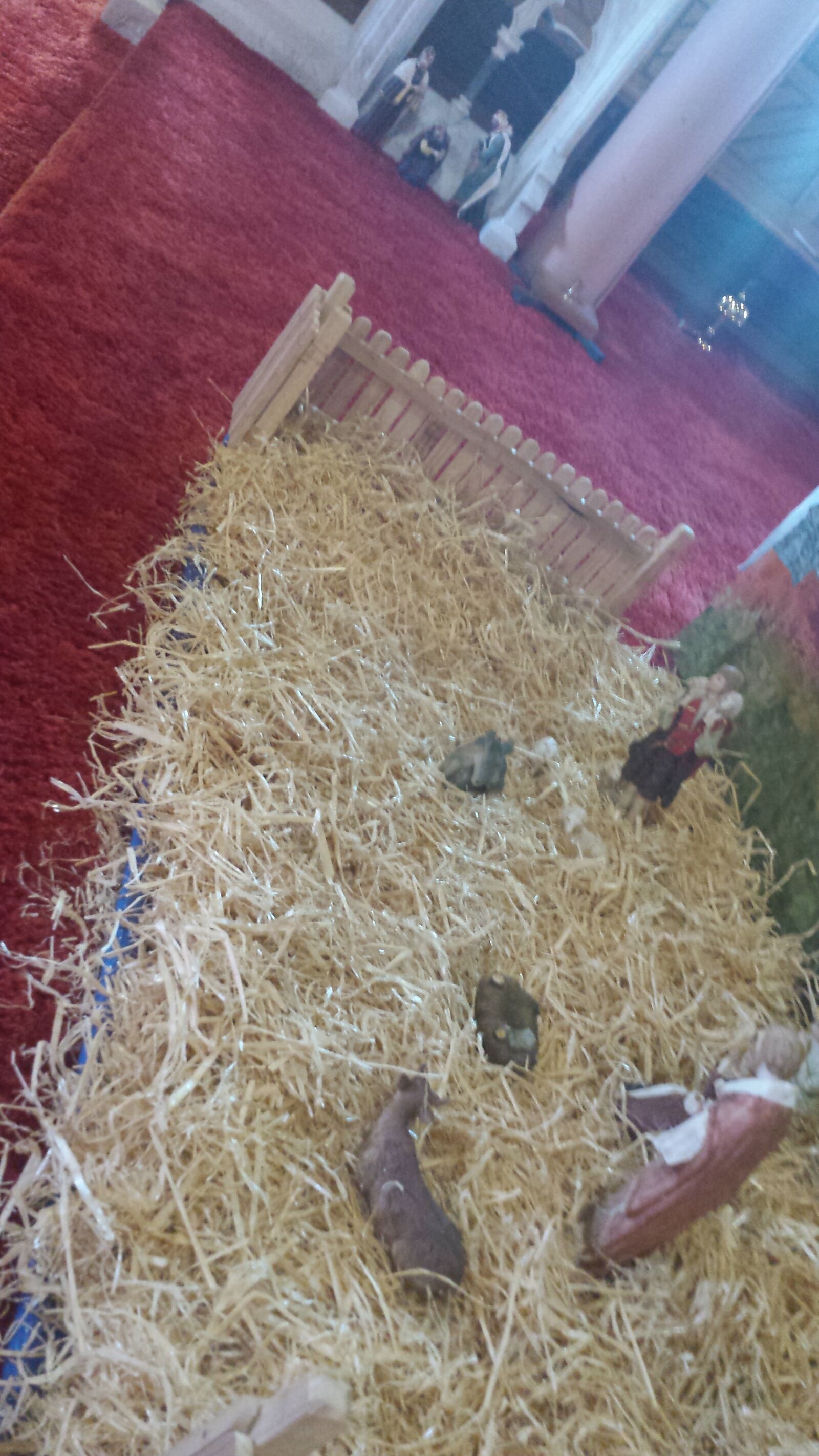Samsung Galaxy S4 sample photo. Birth, christmas, close, jesus photography