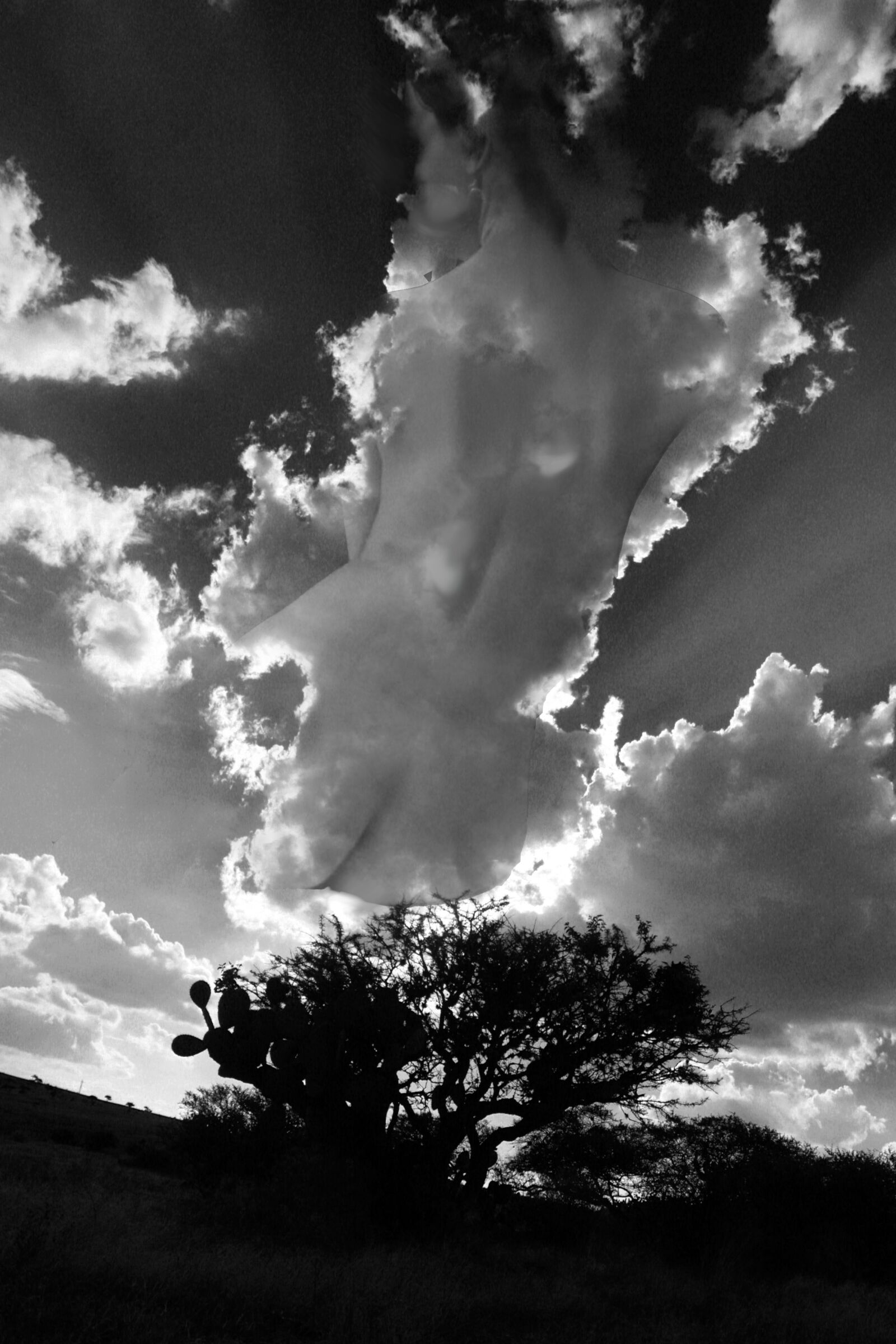Canon EOS 400D (EOS Digital Rebel XTi / EOS Kiss Digital X) sample photo. Landscape, clouds, sky photography