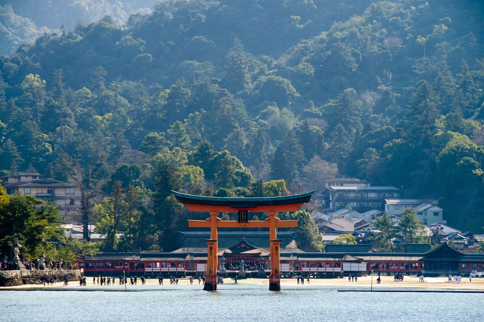Nikon D5100 sample photo. O-torii gate, itsukushima shrine photography