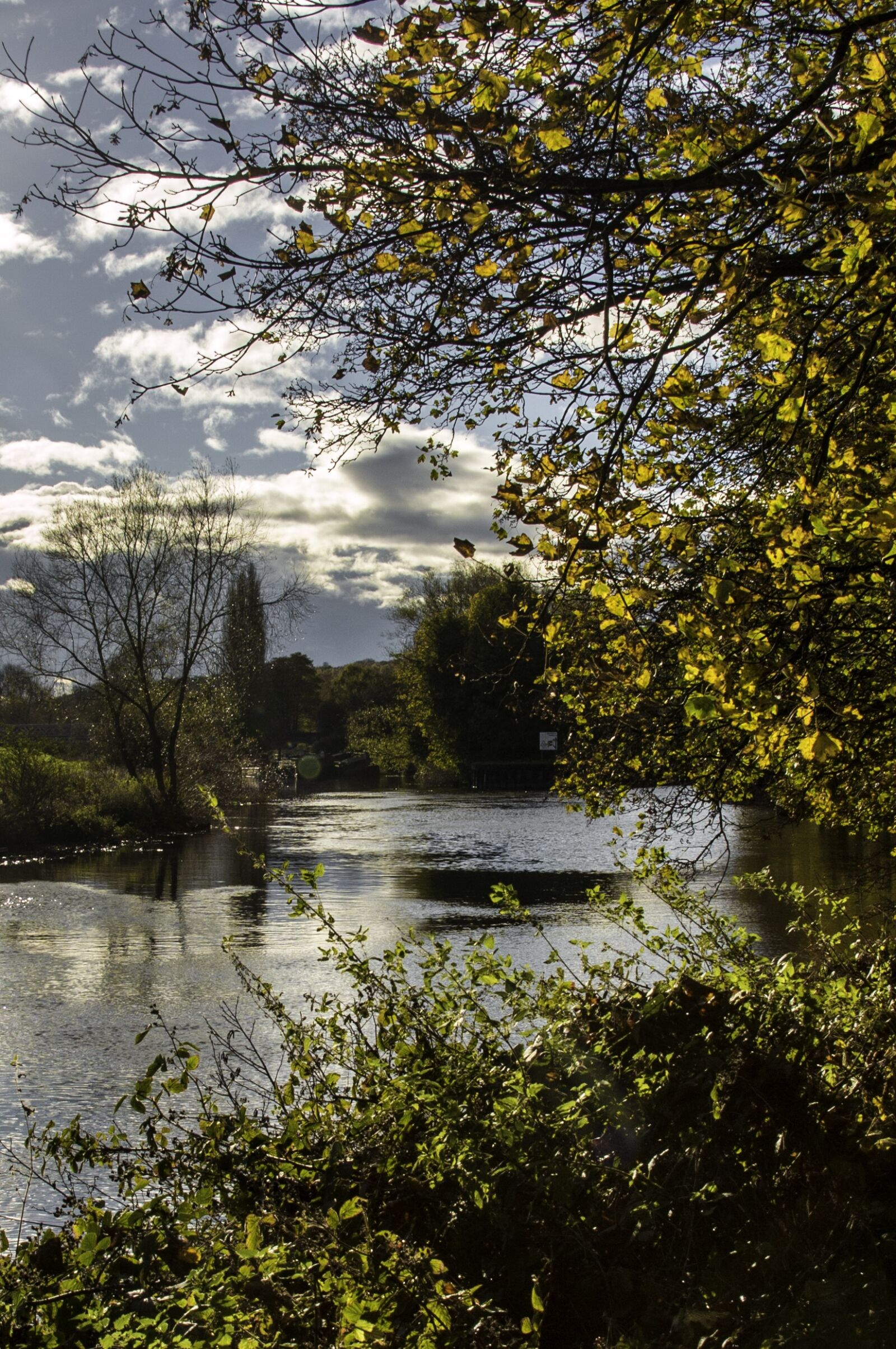 Canon EOS 70D sample photo. River, landscape, autumn photography