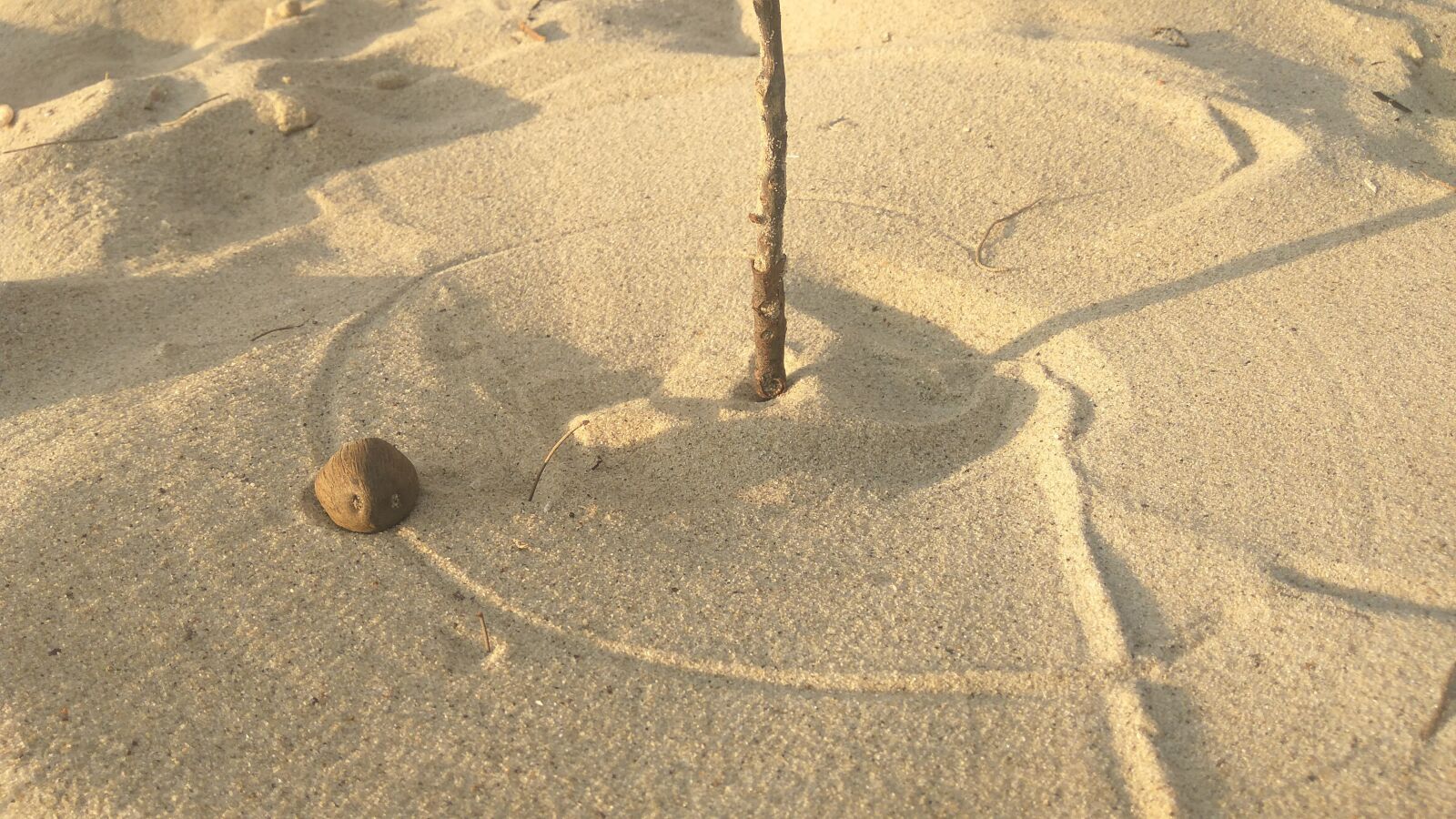 Xiaomi Redmi Note3 sample photo. Sand, fun, funny photography