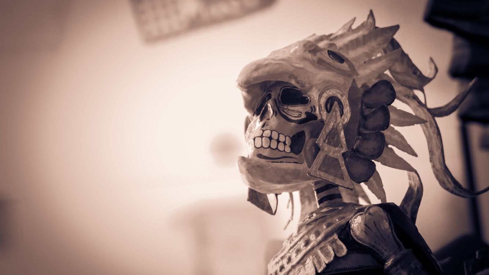 EF75-300mm f/4-5.6 sample photo. Skull, dead, mexico photography