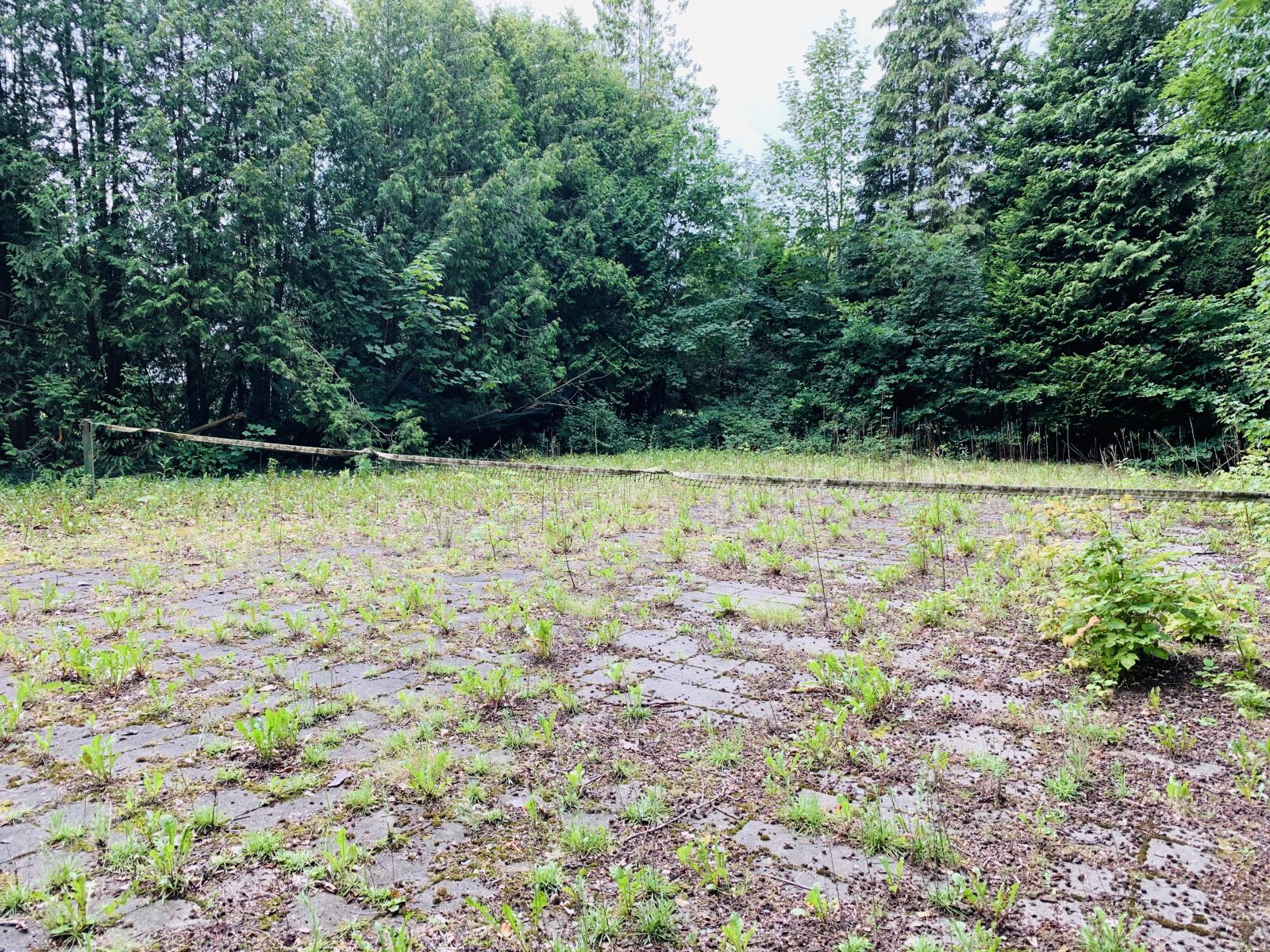 iPhone XR back camera 4.25mm f/1.8 sample photo. Desolate, abandoned, decay photography