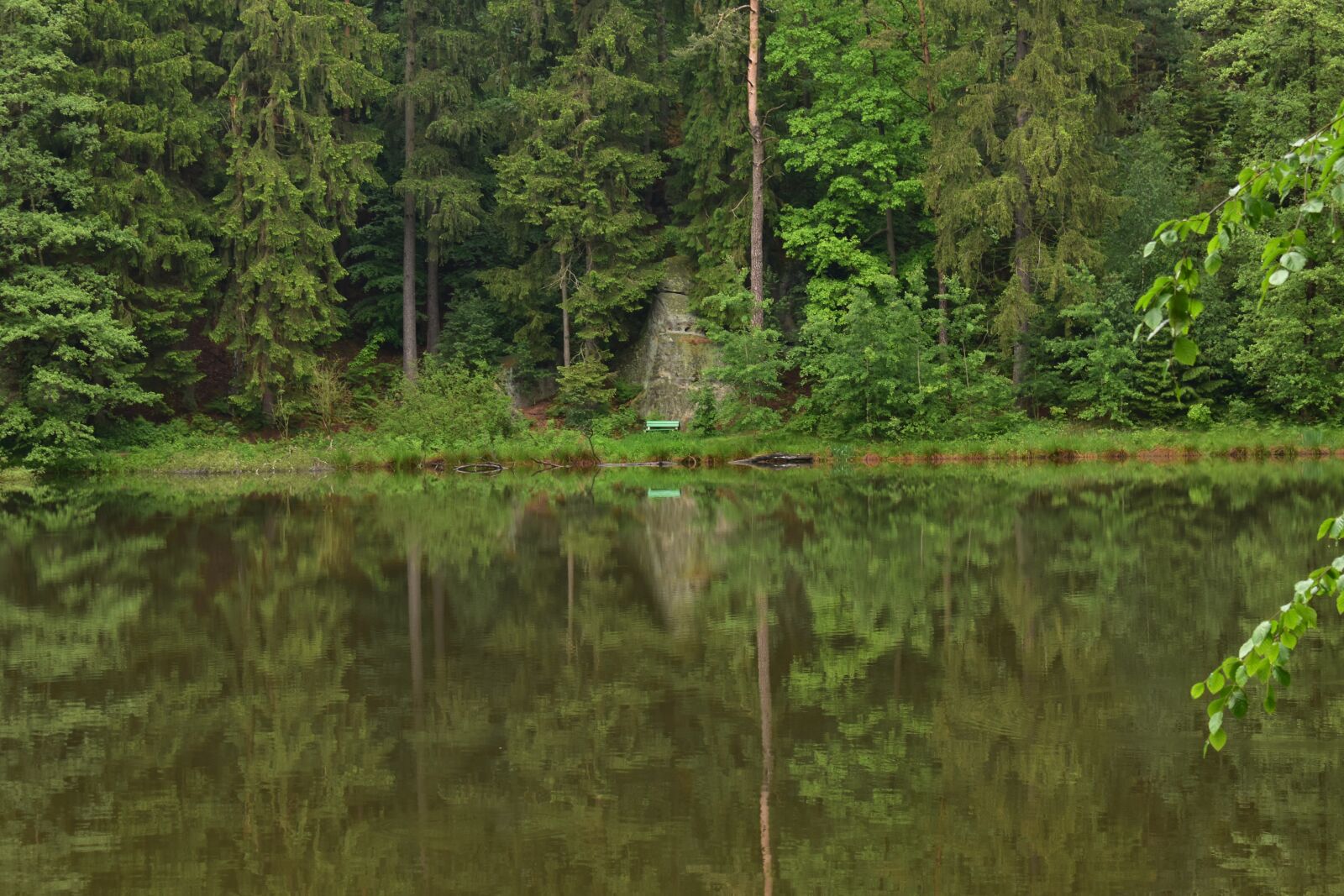Nikon D3400 sample photo. Water, lake, nature photography