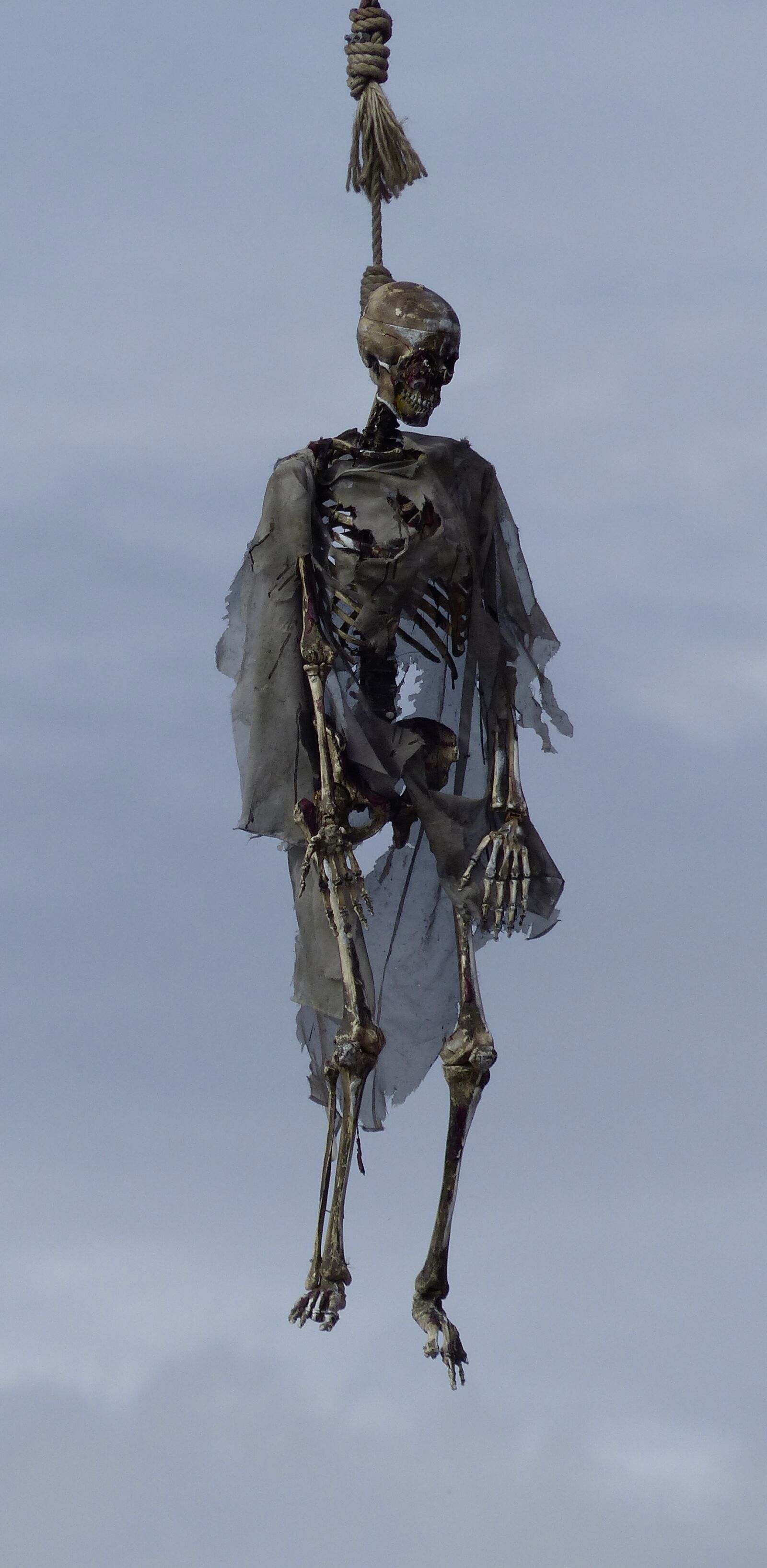 Panasonic Lumix DMC-FZ200 sample photo. Skeleton, gallows, death photography