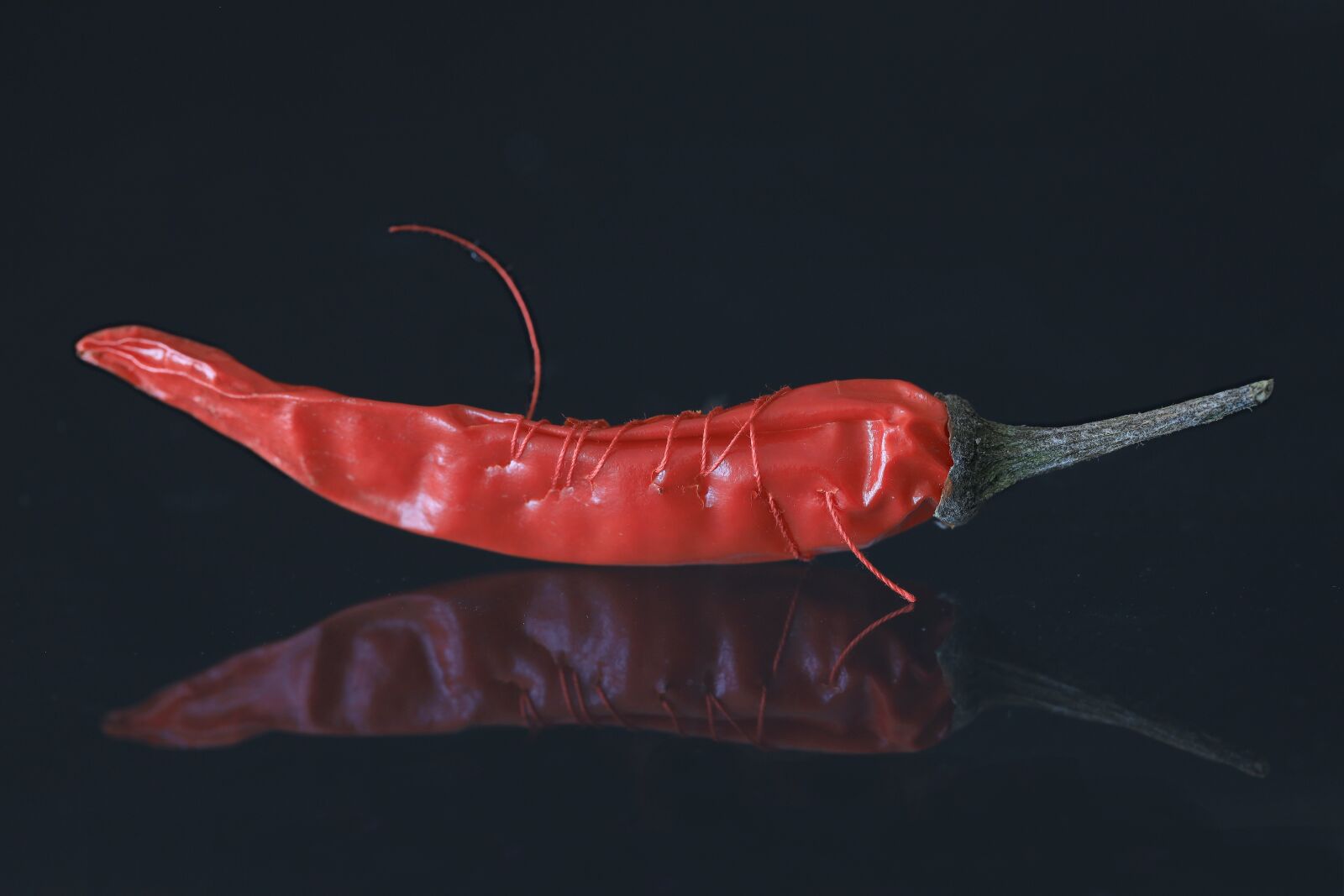 Canon EF 100mm F2.8L Macro IS USM sample photo. Chilli, pods, sharp photography