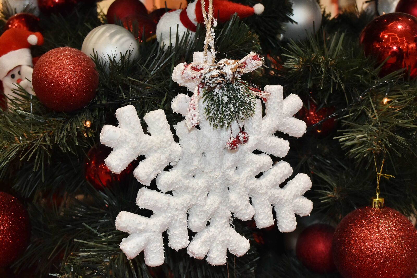 Nikon D5500 sample photo. Christmas tree, hanging, holiday photography