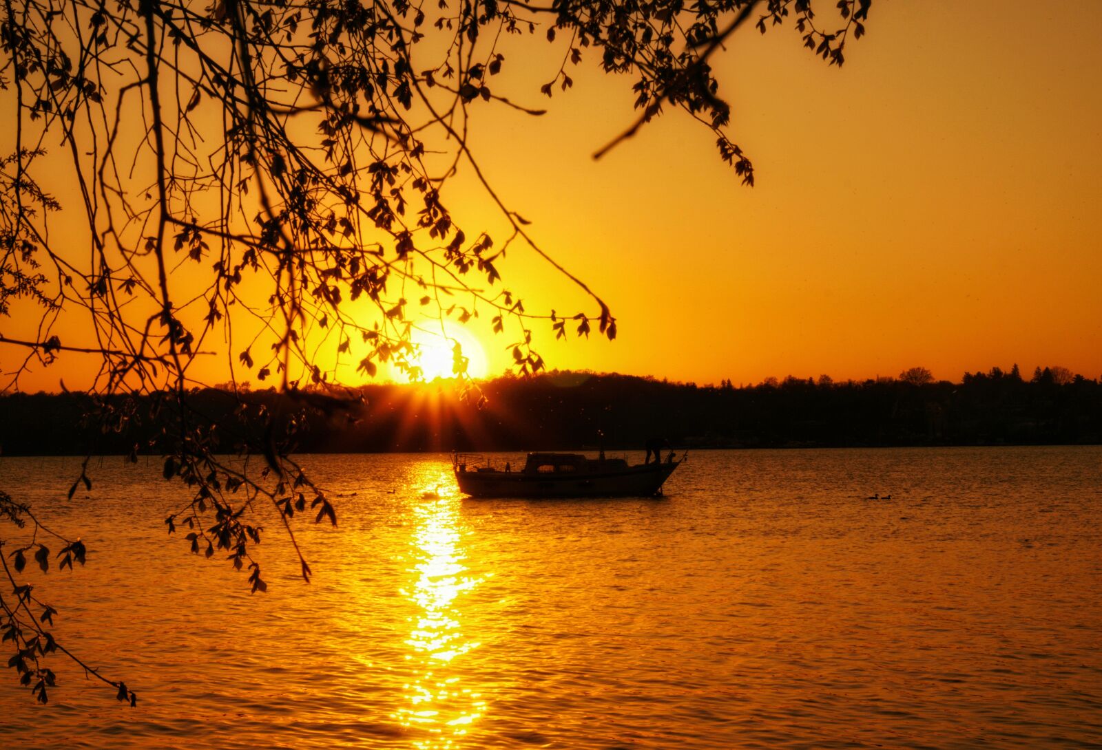 Sony a6000 sample photo. Yellow, sunset, dusk photography
