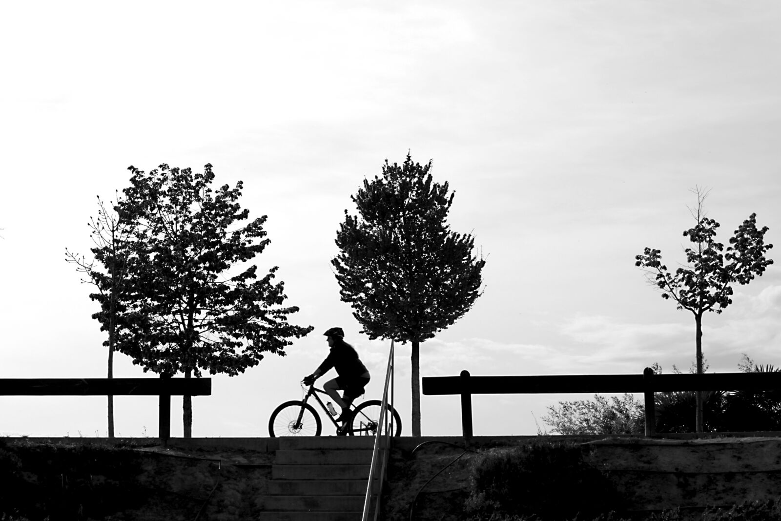 Canon EF-S 55-250mm F4-5.6 IS STM sample photo. Silhouettes, white, silhouette photography
