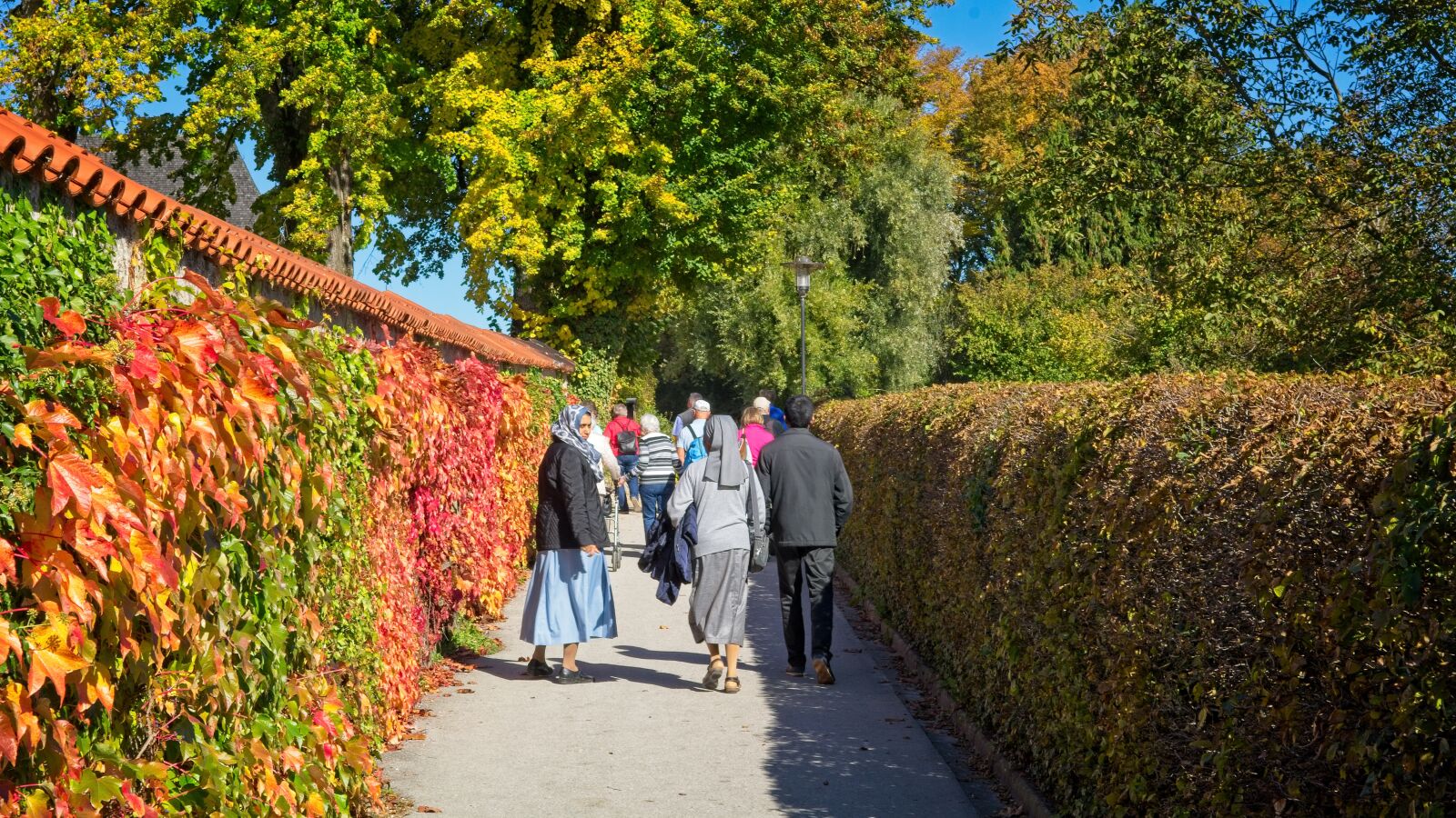 Nikon D7100 sample photo. Autumn, promenade, away photography