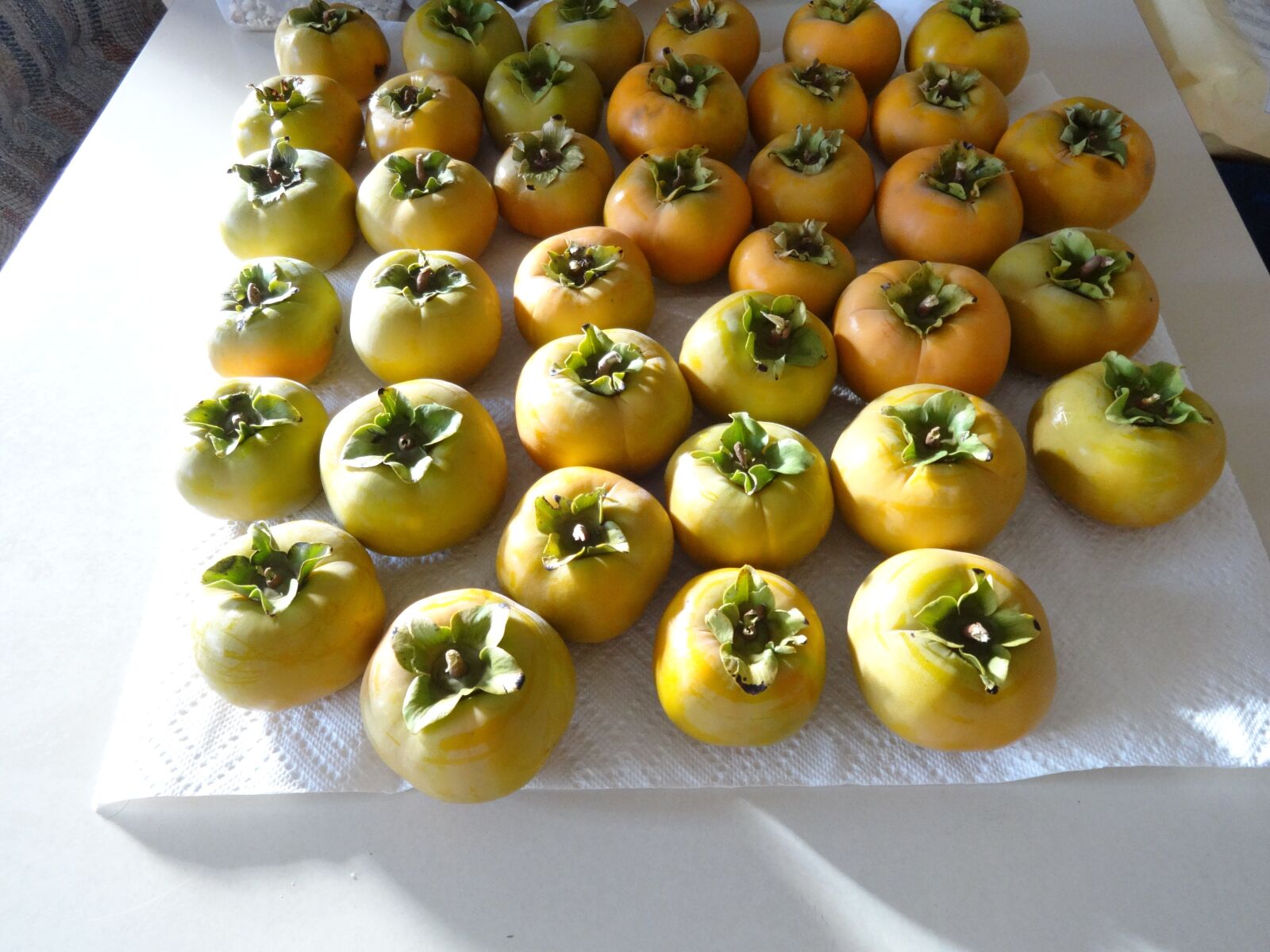 Sony Cyber-shot DSC-WX80 sample photo. Persimmons, fruit, tropical photography