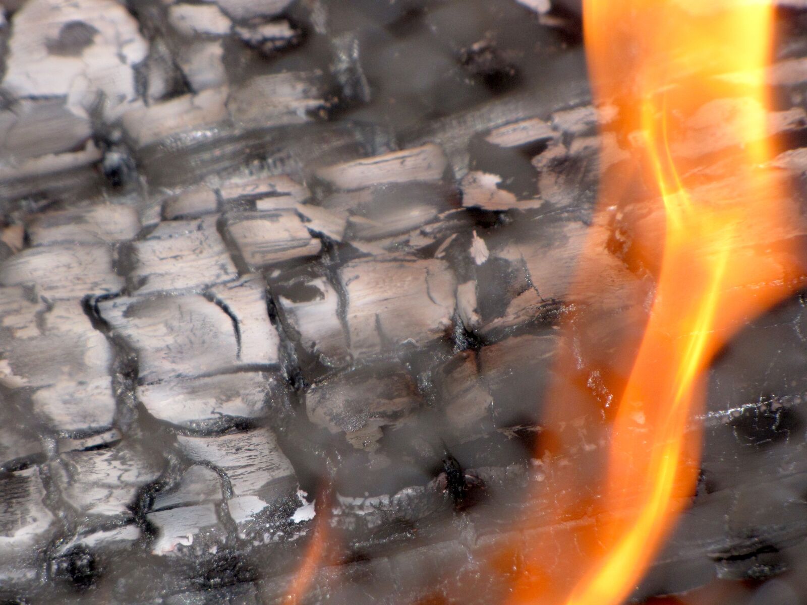 Canon PowerShot SX10 IS sample photo. Fireplace, flame, burn photography