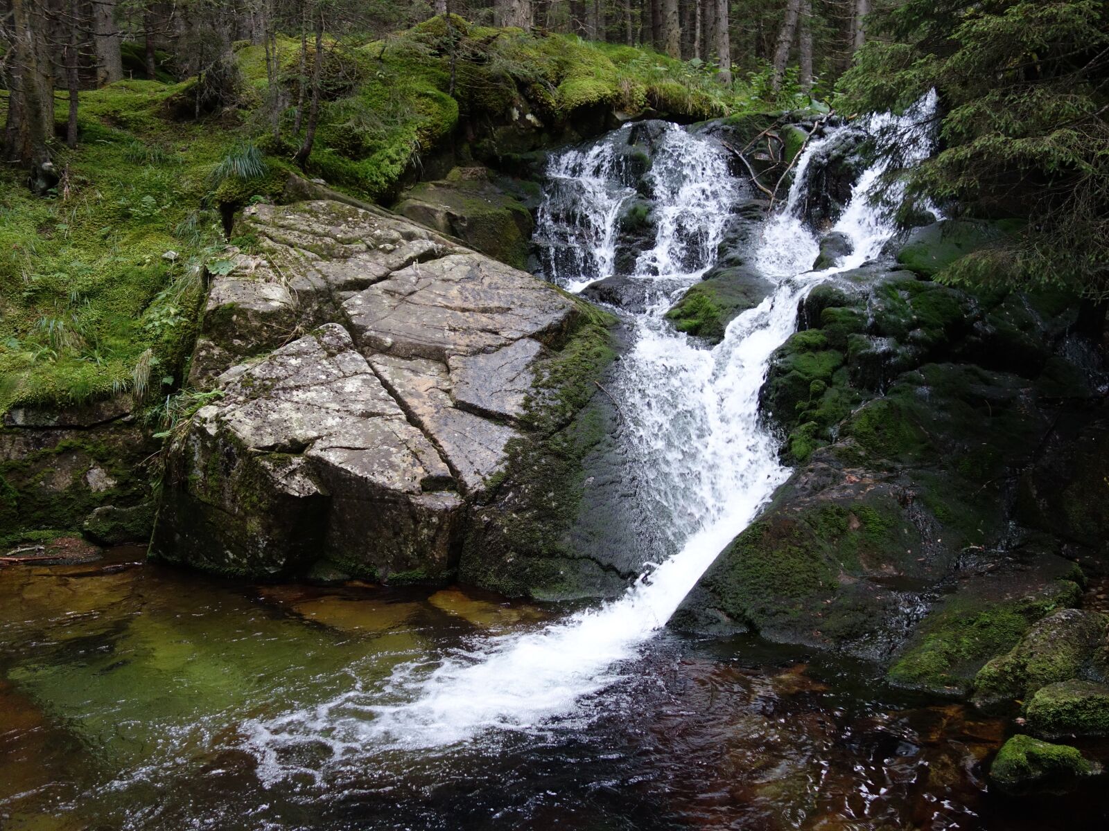 Sony Cyber-shot DSC-RX100 sample photo. Waterfall, retezat, mountain photography