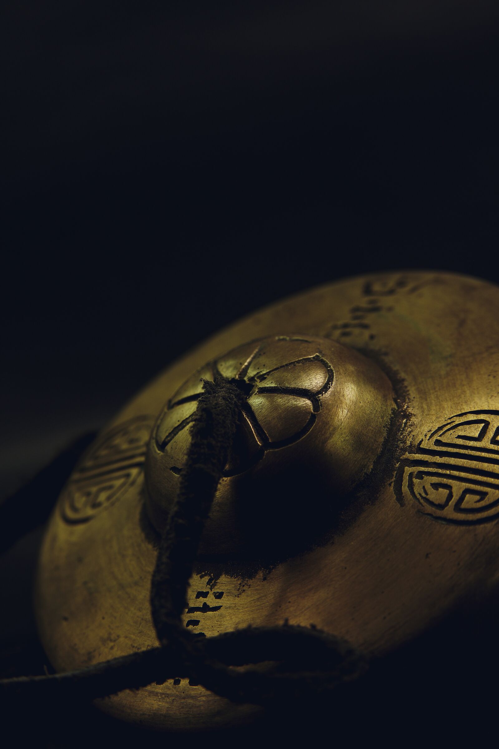 Canon EOS 6D Mark II sample photo. Dulcimer, chinese cymbal, macro photography
