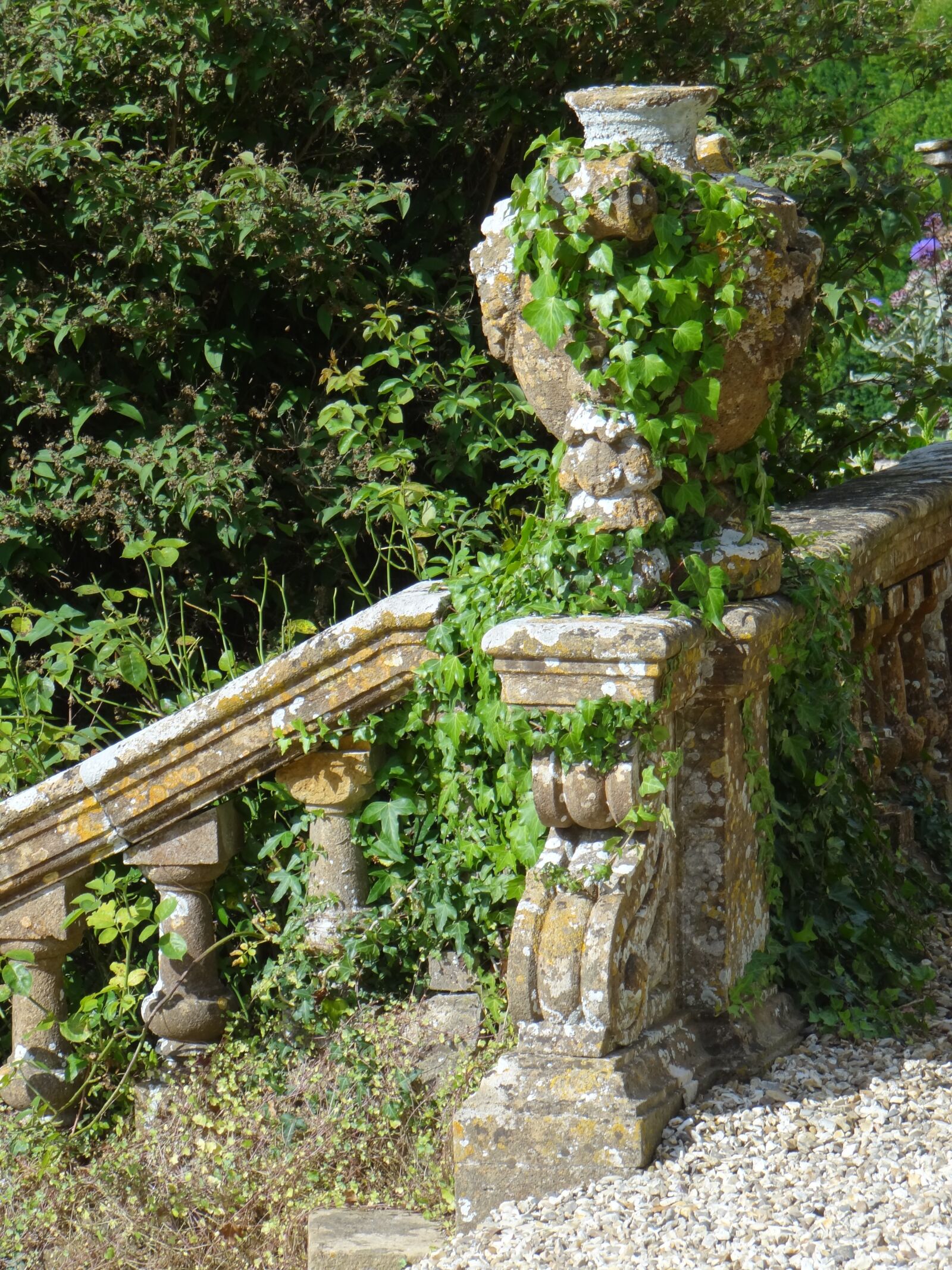 Sony Cyber-shot DSC-HX100V sample photo. Stairs, ivy, romance photography