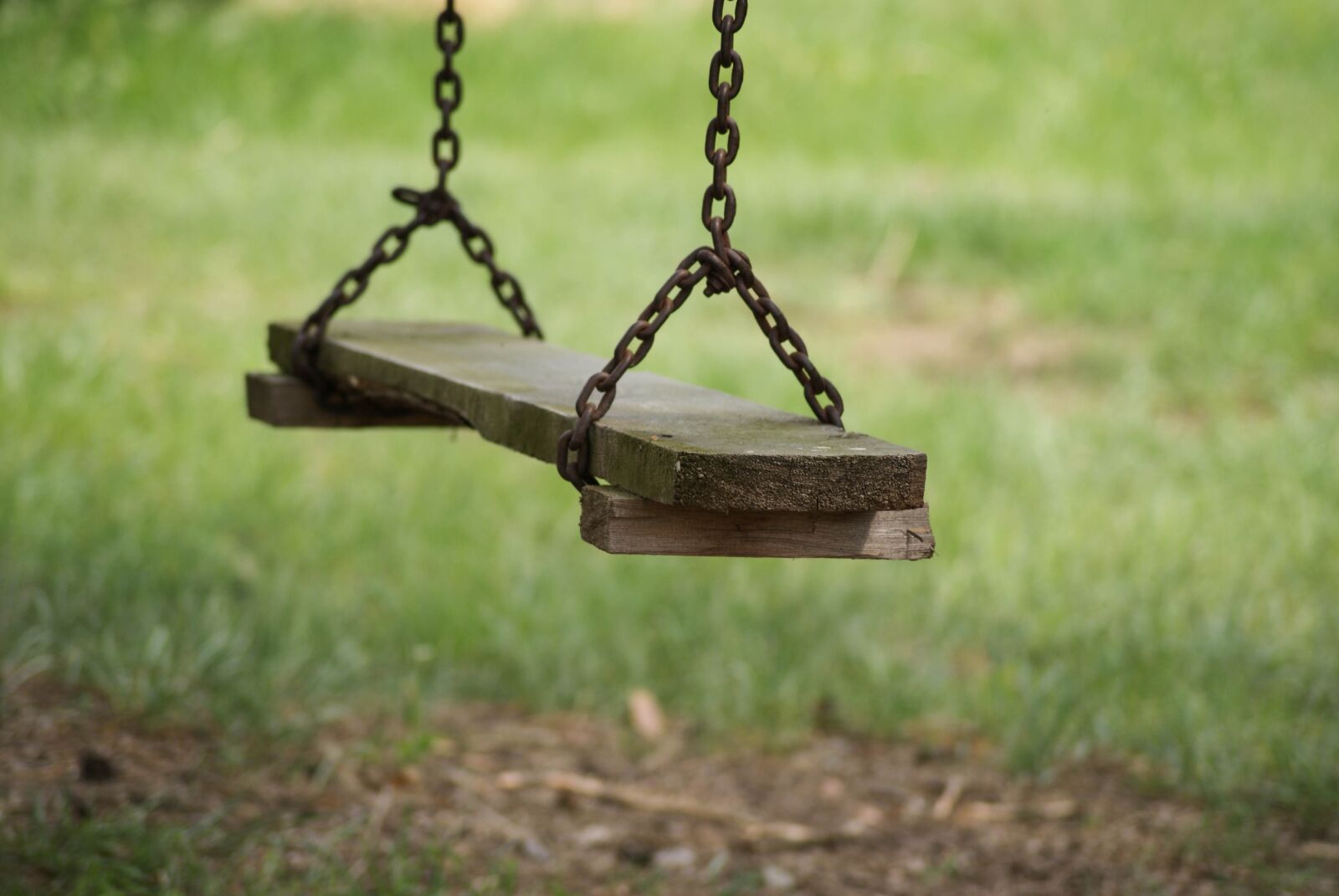 Sony Alpha DSLR-A300 sample photo. Swing, grass, nature photography