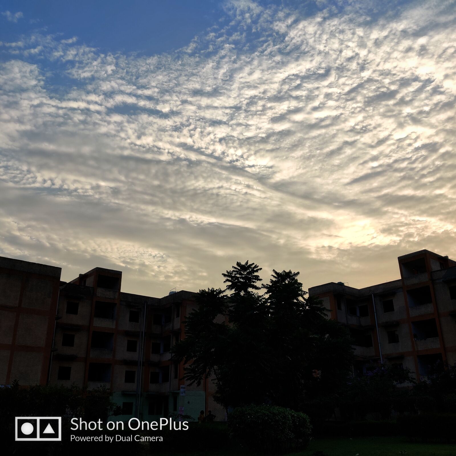 OnePlus GM1901 sample photo. Evening, clouds, sunset photography