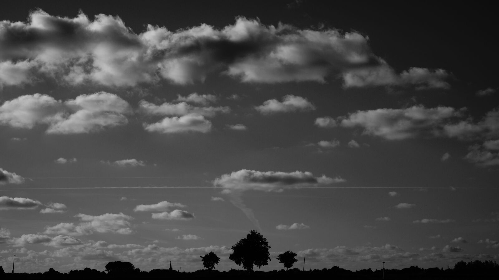 Sony DT 18-55mm F3.5-5.6 SAM II sample photo. Silhouette, of, trees, under photography