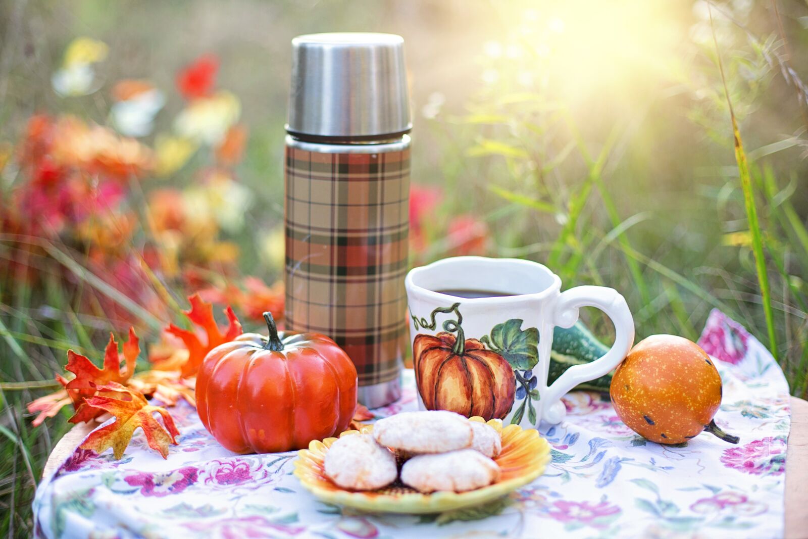 Canon EF 50mm F1.4 USM sample photo. Autumn, tea, fall photography