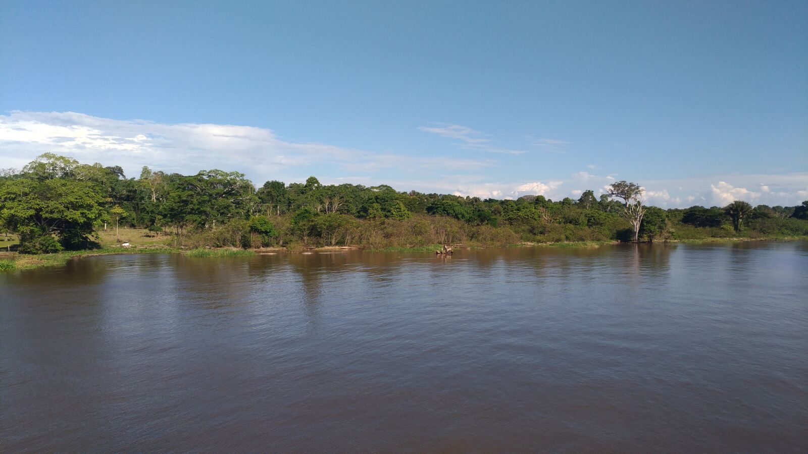 ASUS Z017DC sample photo. Amazonas, rio, nature photography