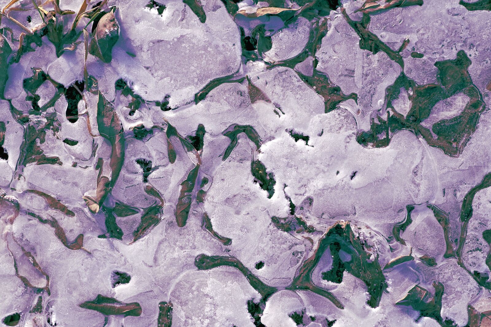 Pentax K-S2 sample photo. Frost, ice, permafrost photography