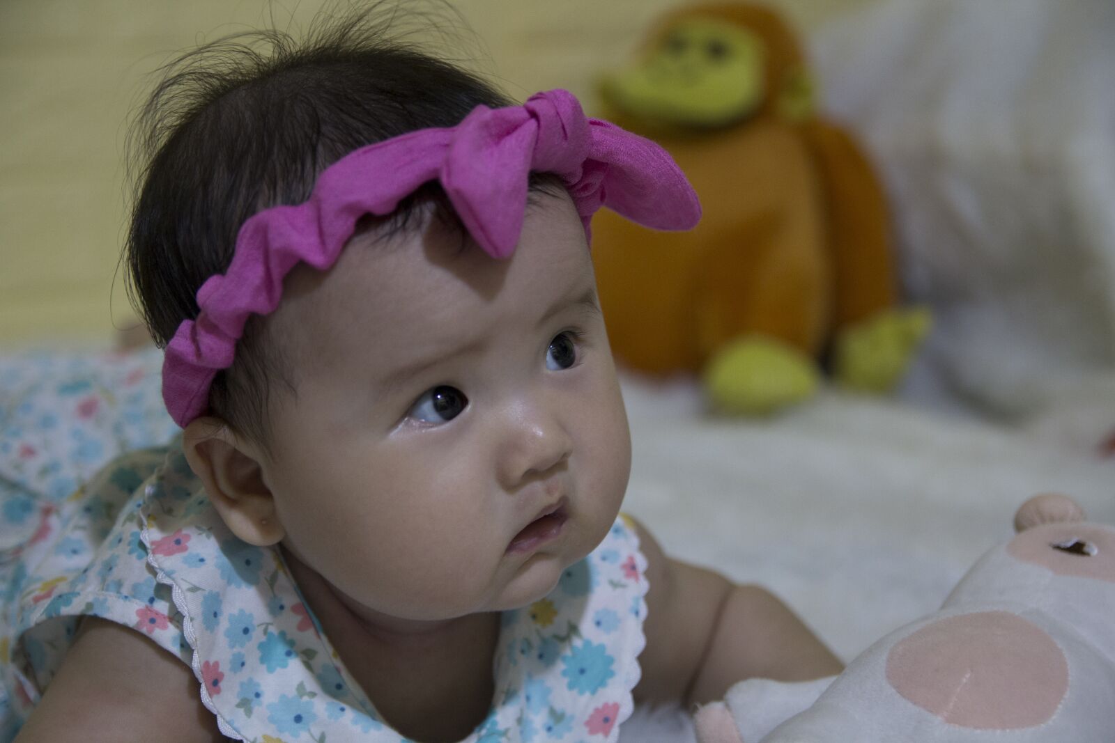 Canon EOS 60D sample photo. Form, photo photography