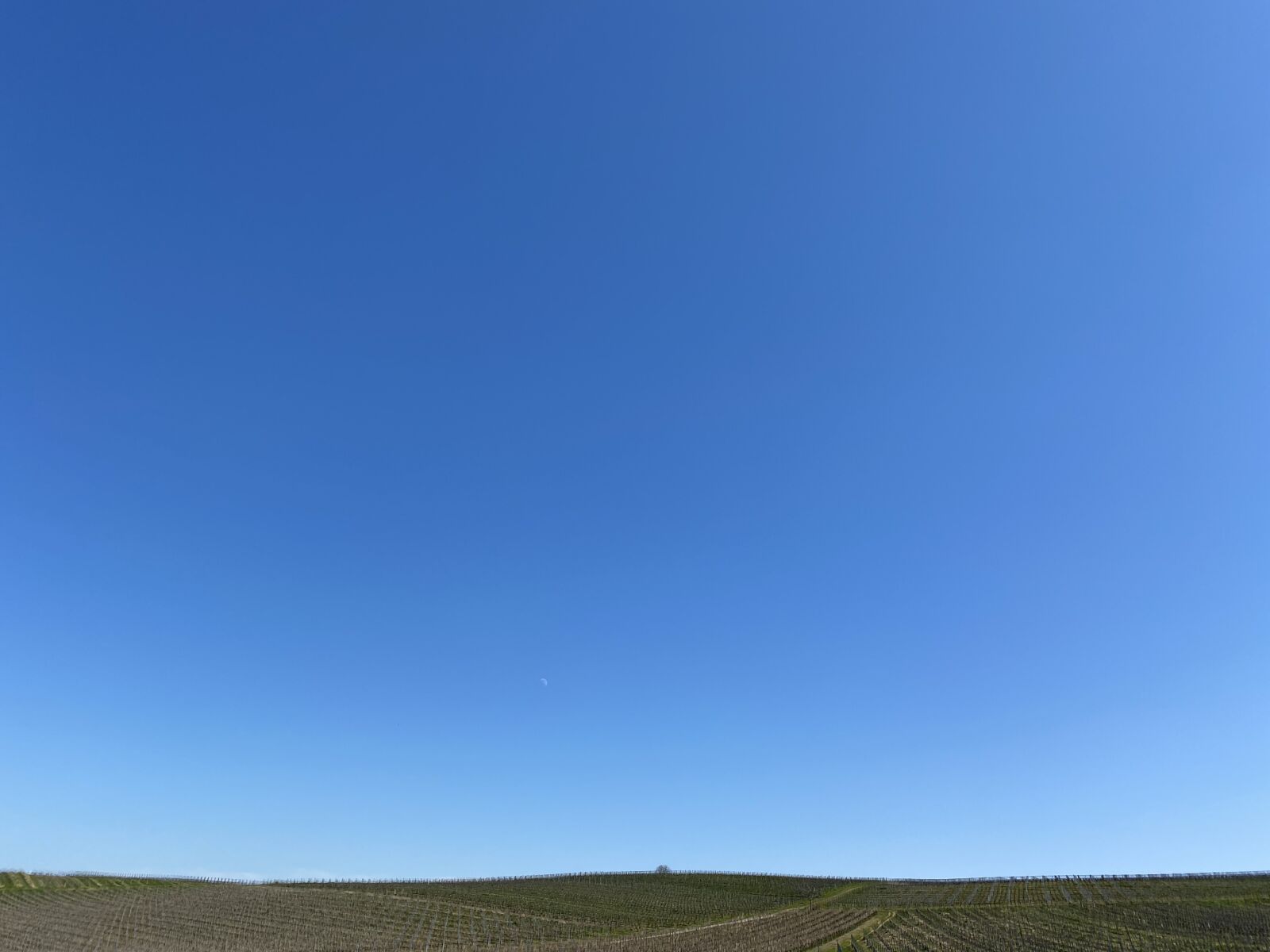 Apple iPhone 11 sample photo. Sky, blue, nature photography