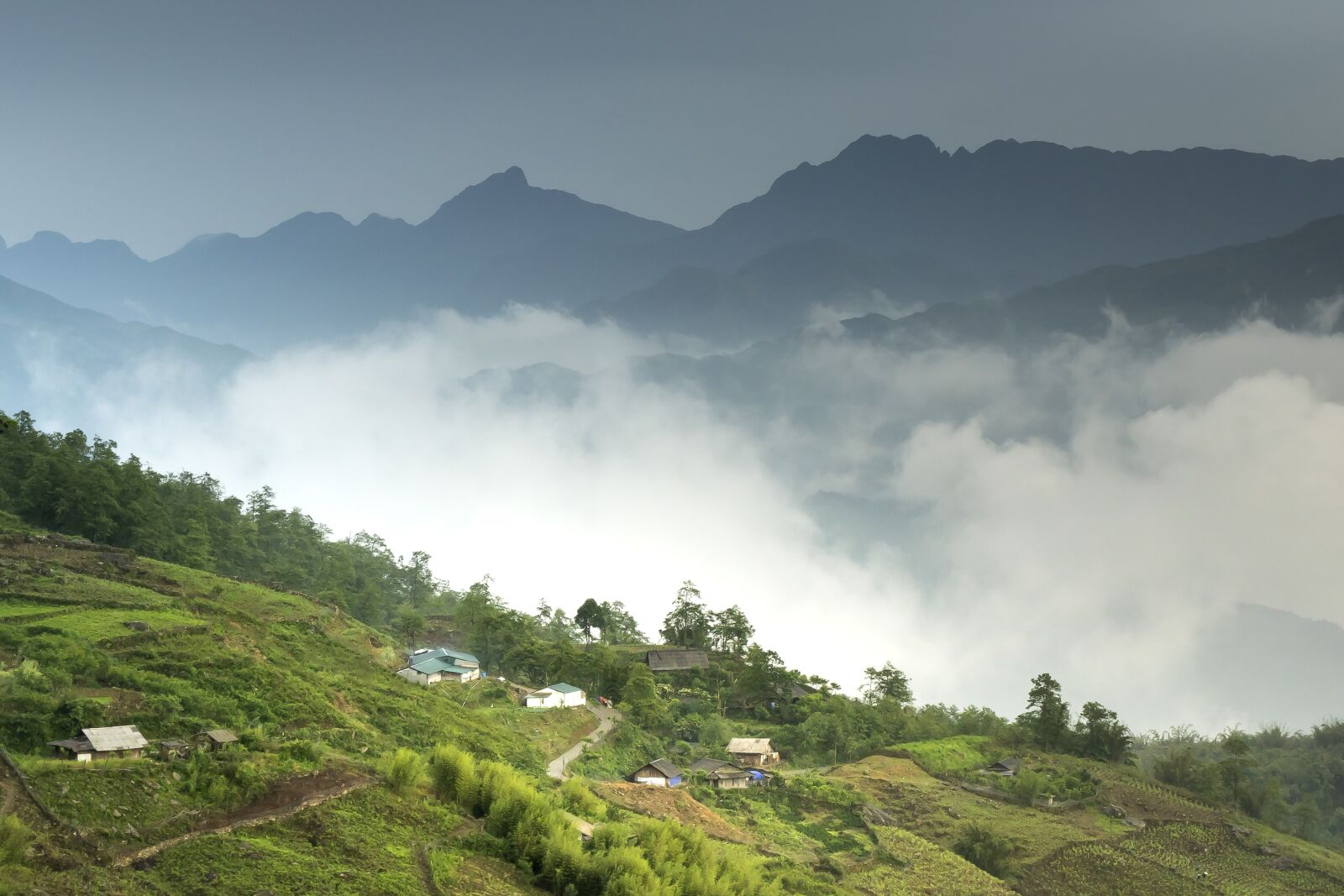Sony a6500 + Sony Vario-Tessar T* E 16-70mm F4 ZA OSS sample photo. Vietnam, sapa, rice photography
